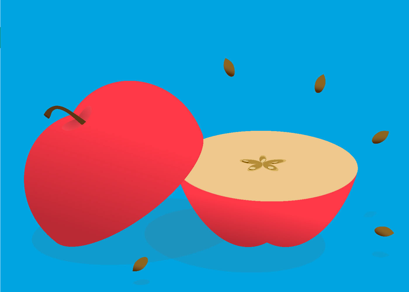 The addition of shadows gives this apple and seeds a dimensional effect along with movement.