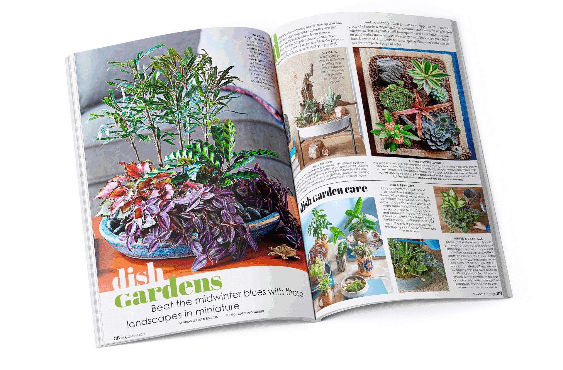 I was given the article's contents and had to create a grid and images.