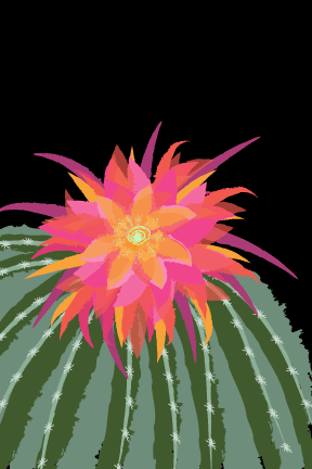Creating multiple brushes, allowed for a differentiating texture throughout the cactus and blossom.