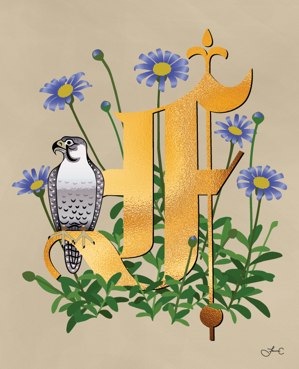 I really love the look of the medieval illuminated manuscripts with the foliage and animals. For this look I used the typeface Old English. I created a gold leaf image in Photoshop and used a clipping mask on my typeface image. The falcon was to resemble a velum drawing from the medieval times.