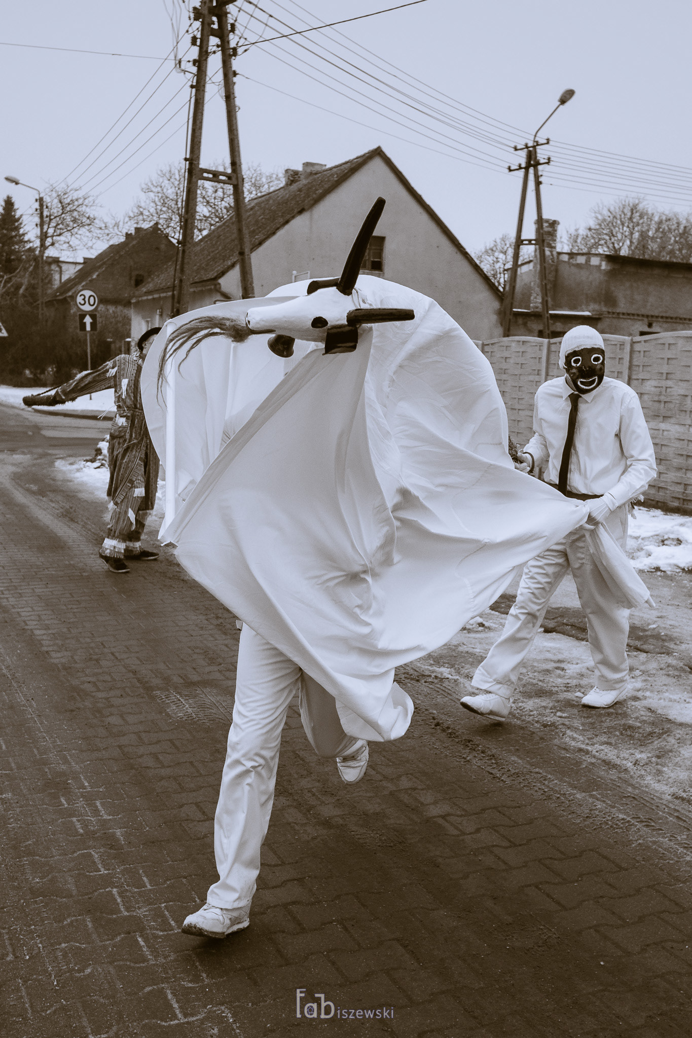 Koza/Pożenanie karnawału