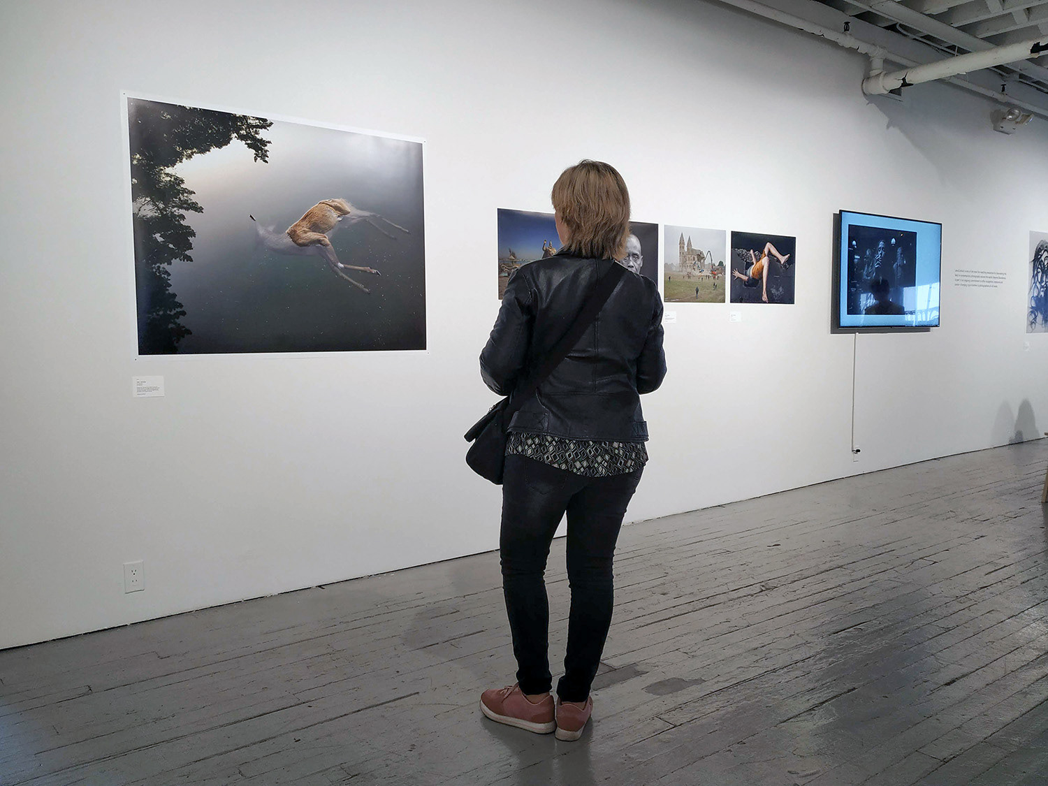 T"The Dead Deer" on the wall of Aperture Gallery, NYC