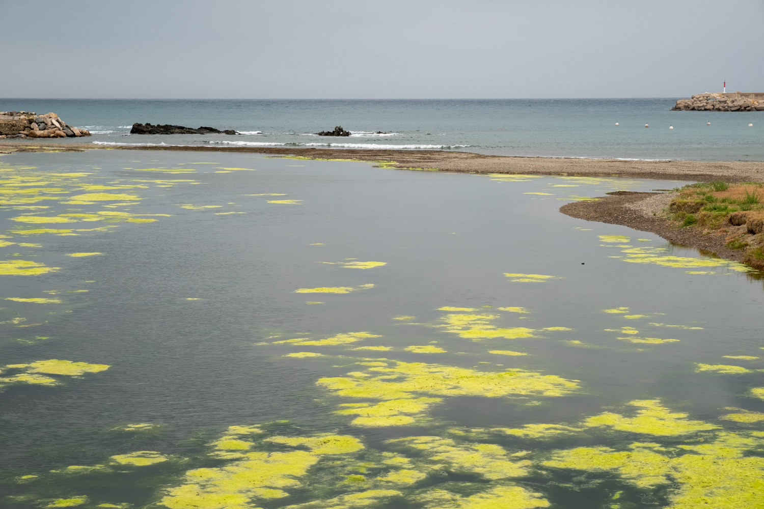 Llançà (Alt Empordà)