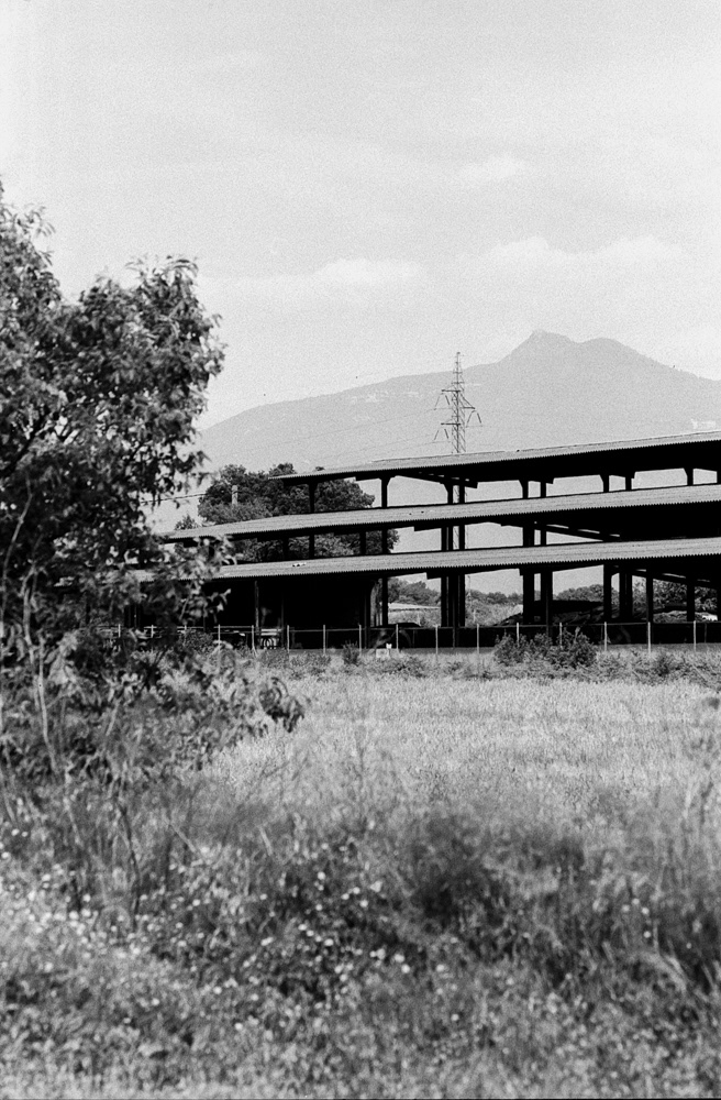 Borrassà