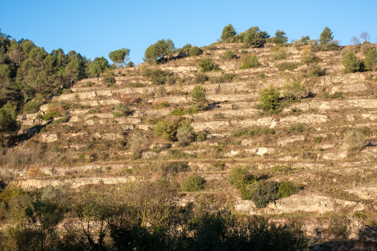 Copons (Anoia)