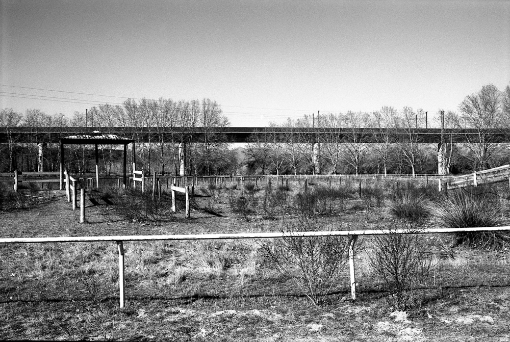 Bàscara