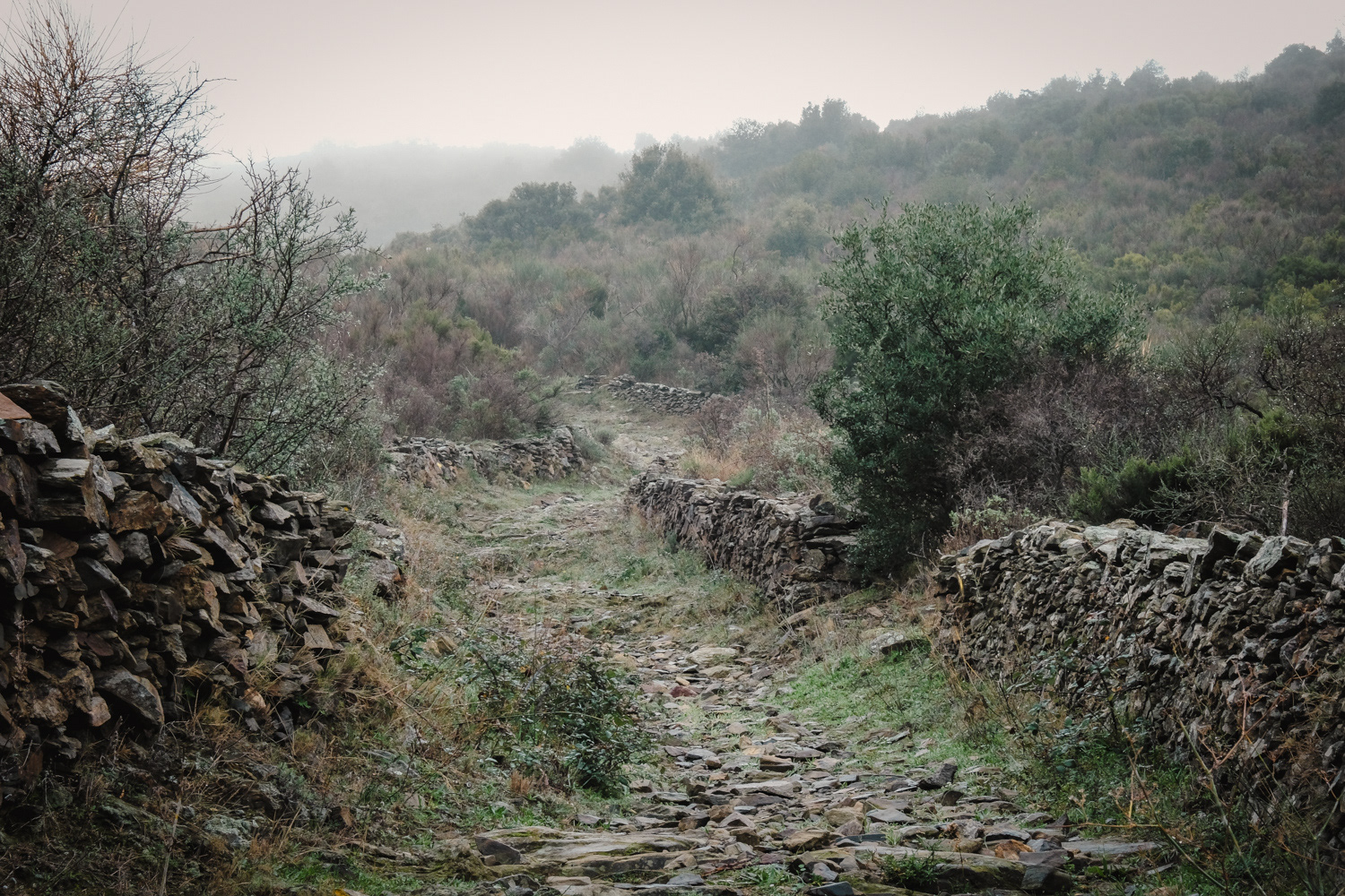 Llançà (Alt Empordà)