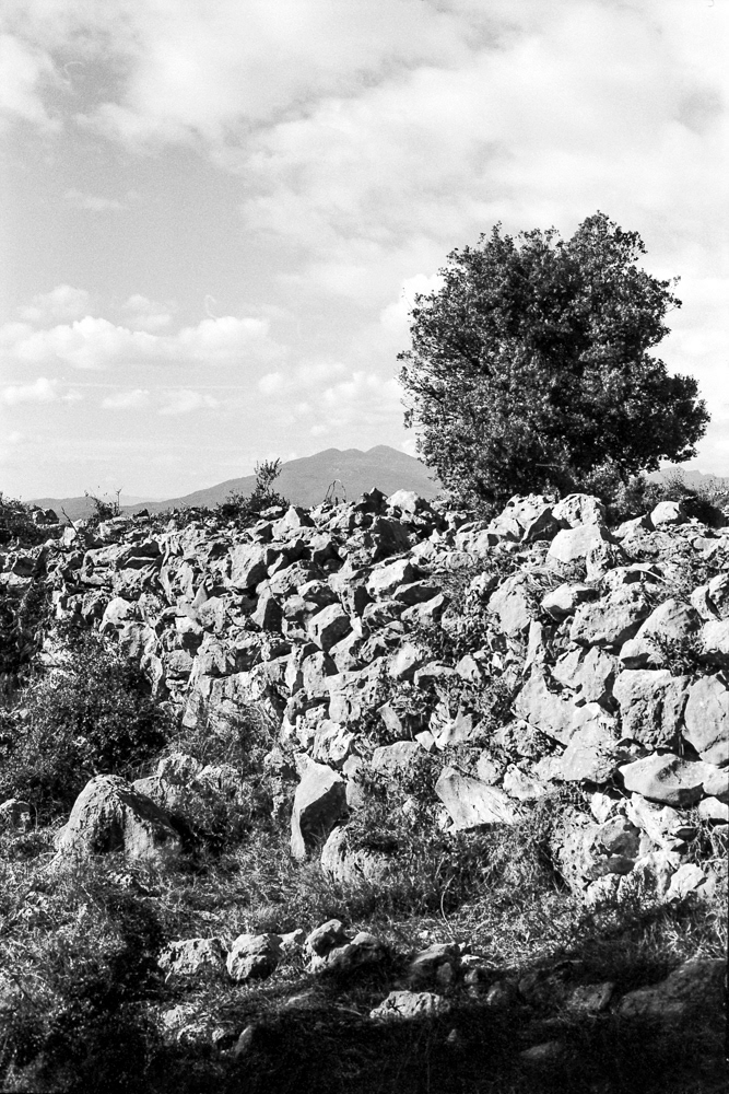 Avinyonet de Puigventós