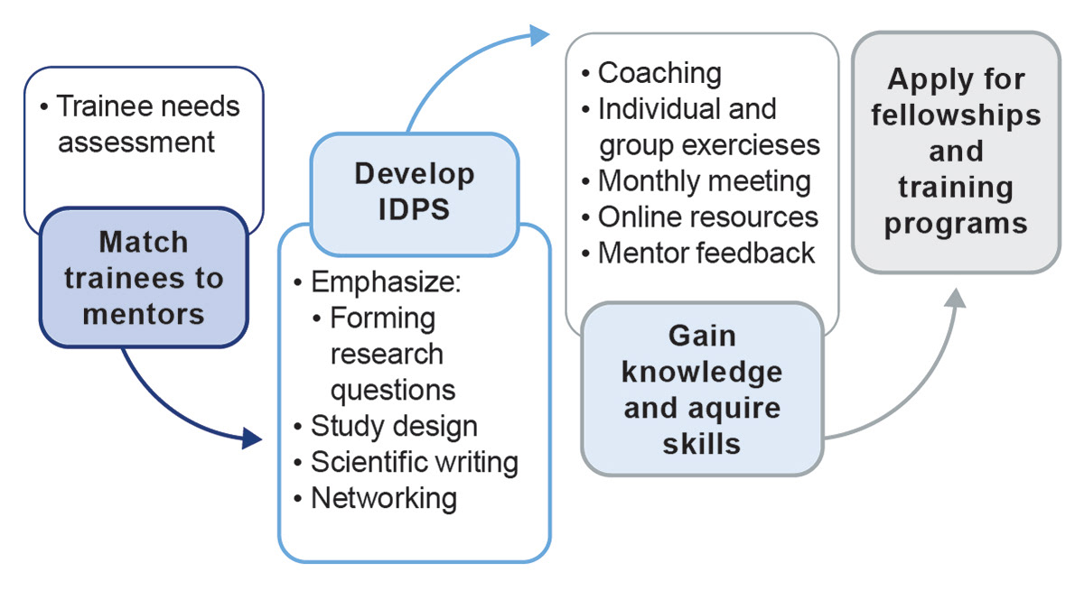 Fellowships and mentorship process guide