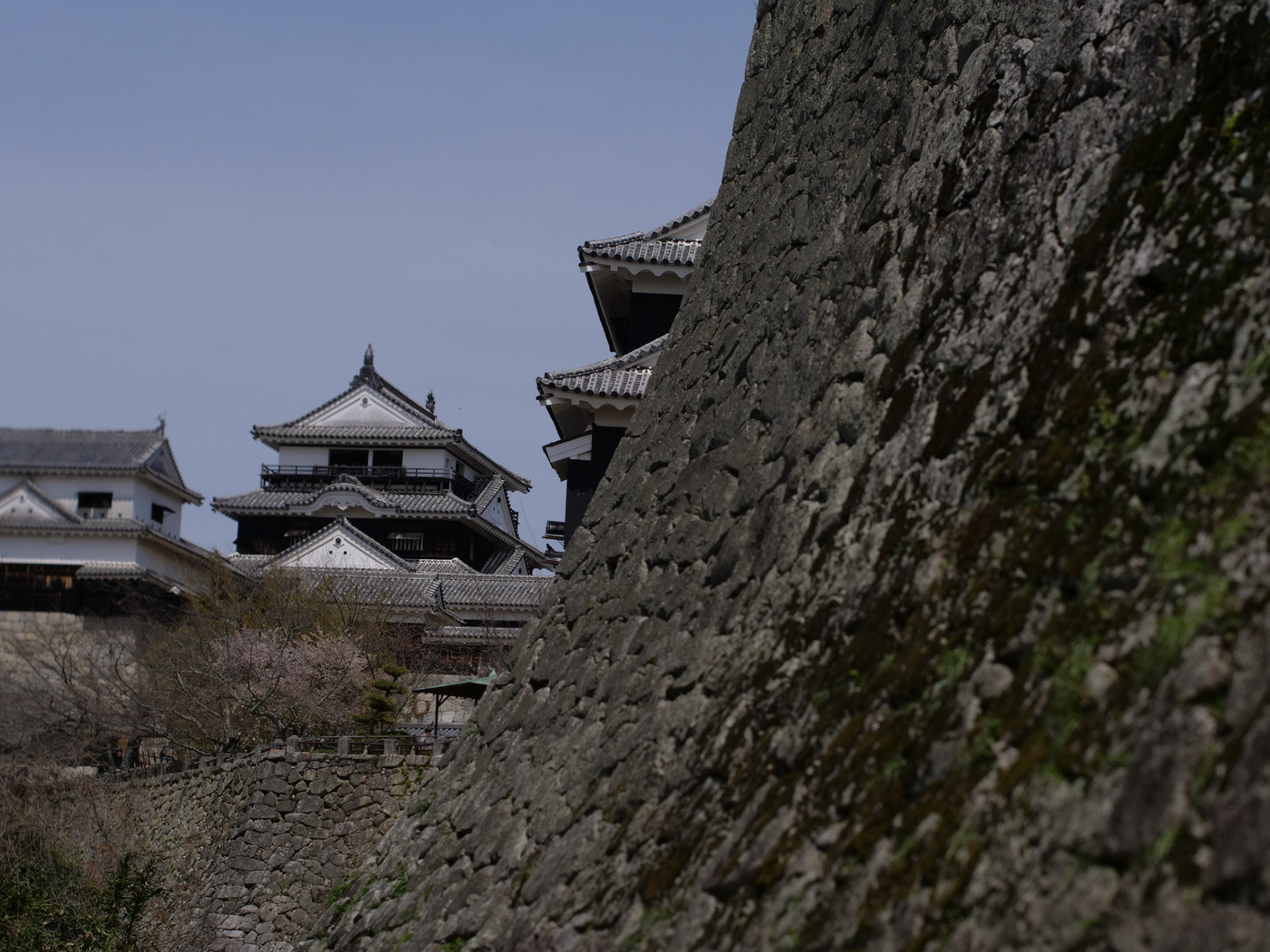 Matsuyama Castle
