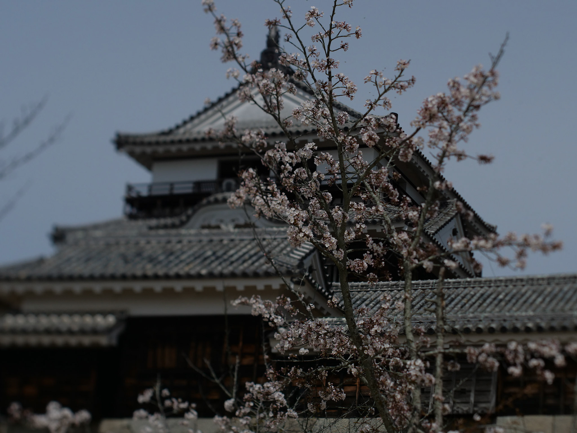 Matsuyama Castle