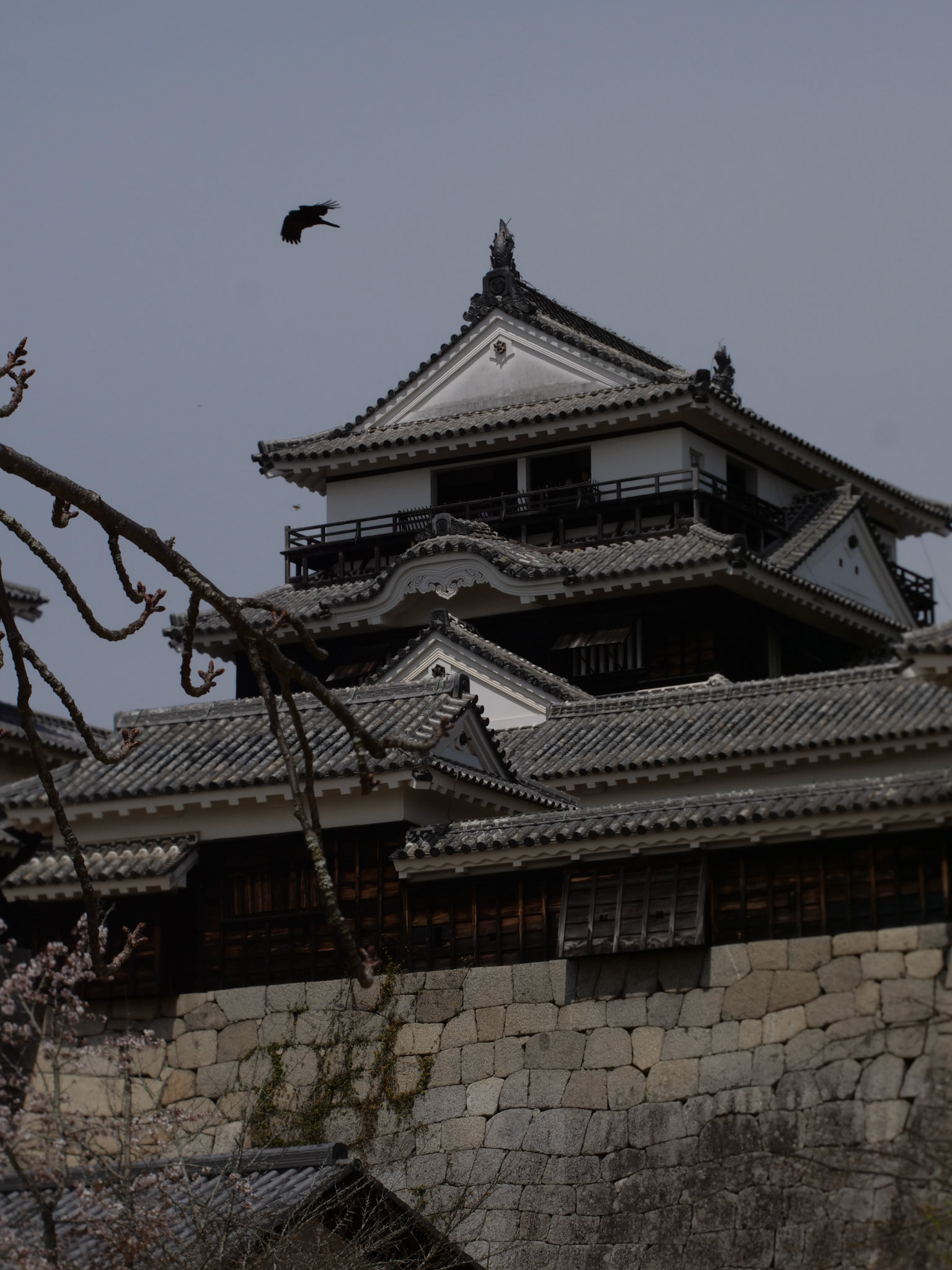 Matsuyama Castle