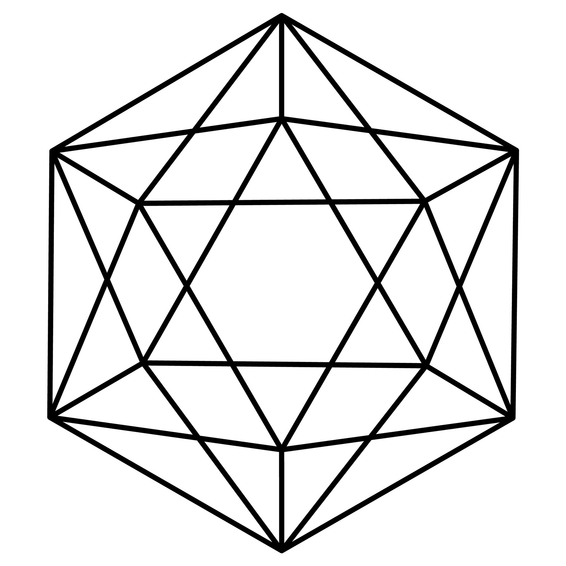 D20