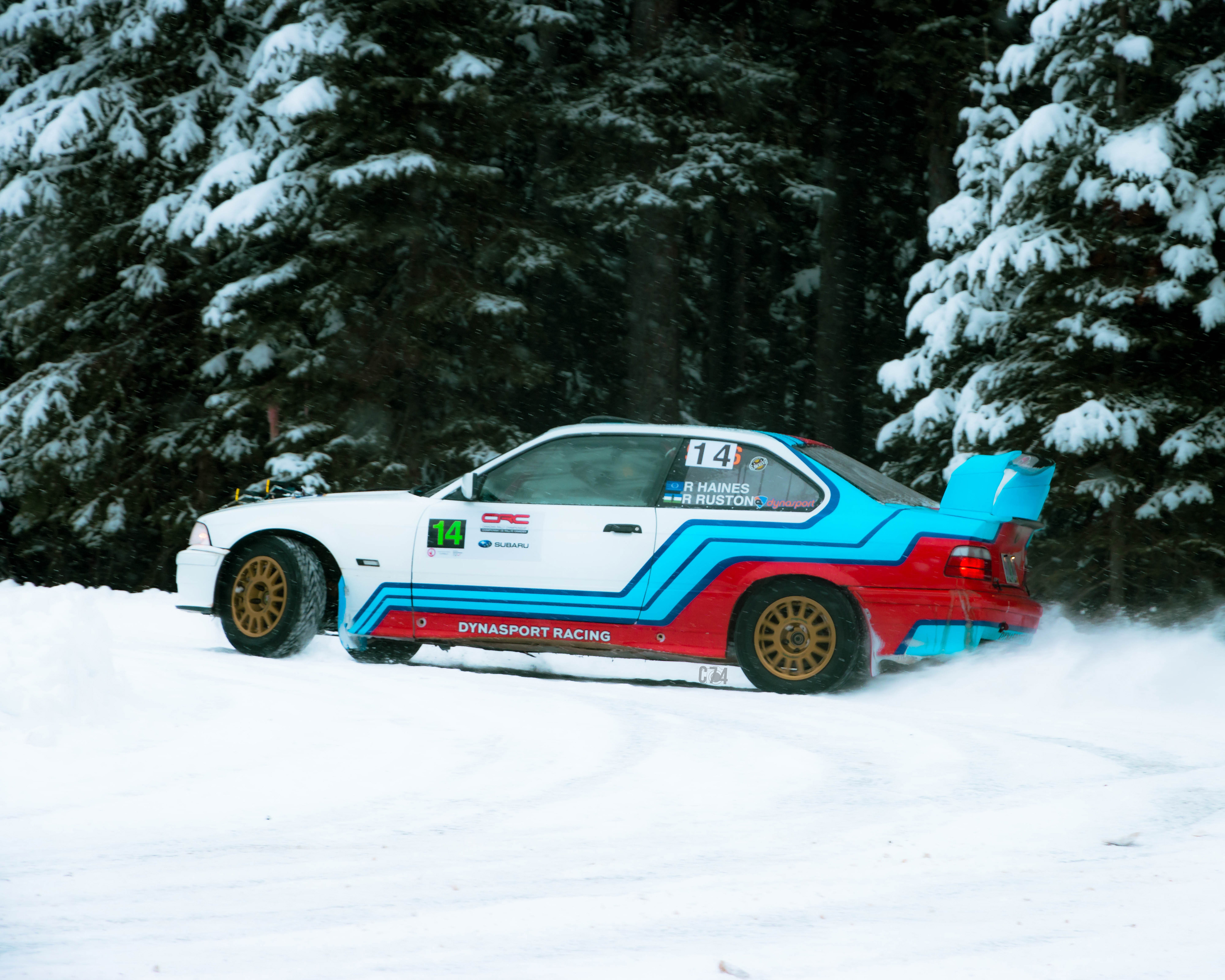 Car #14 Black Forest Spectator