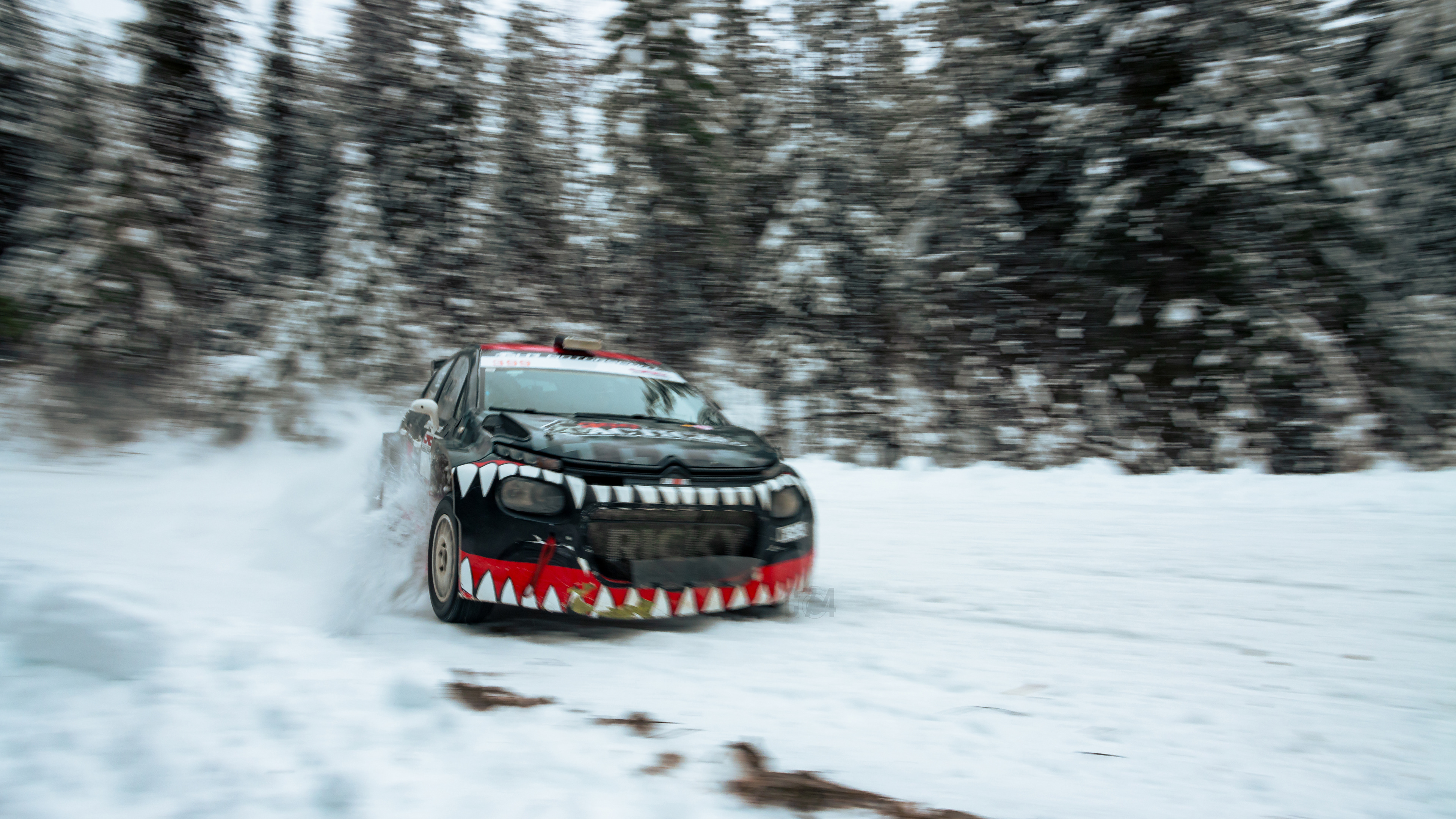 Car #399 Gem Lake Down