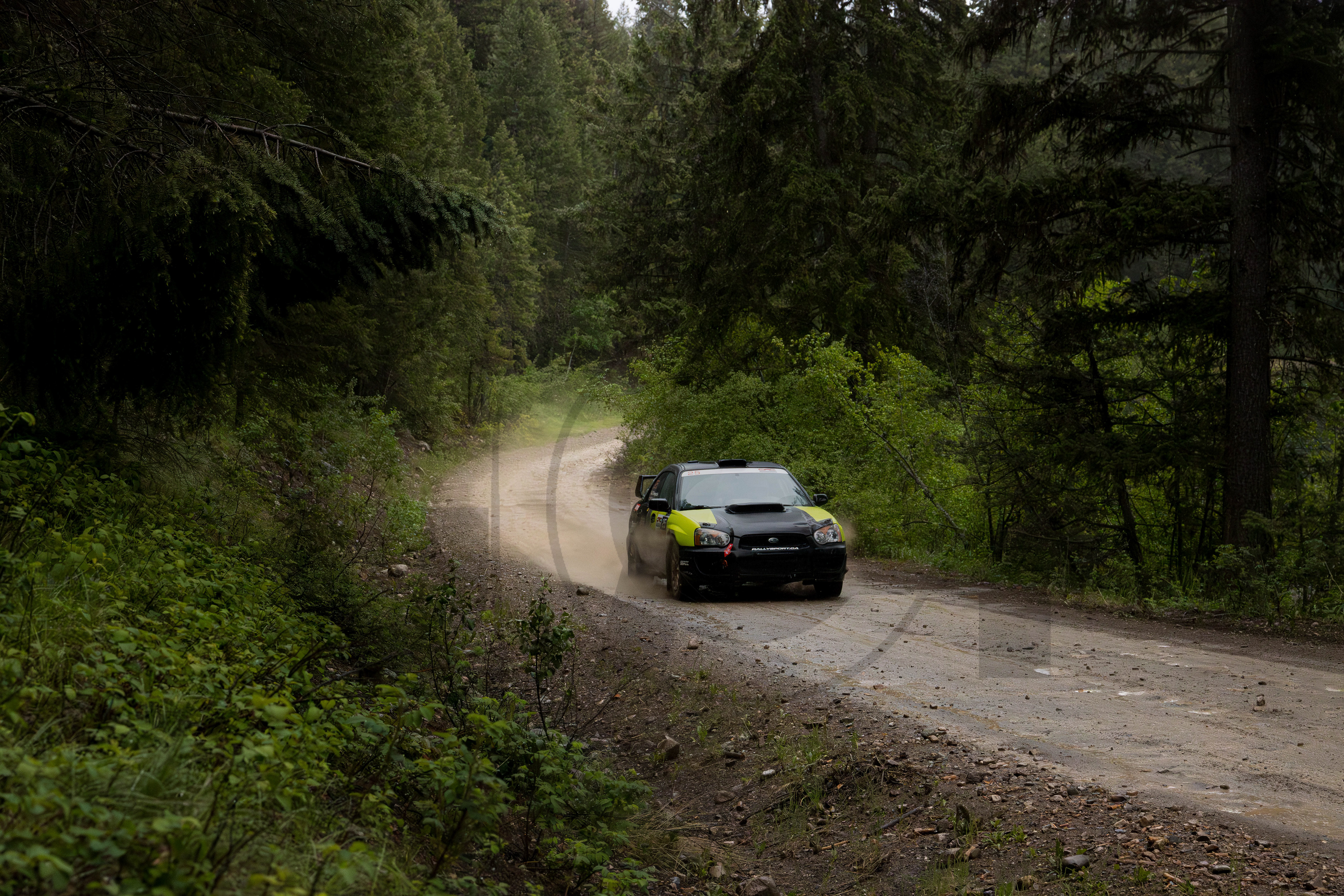 Car #25