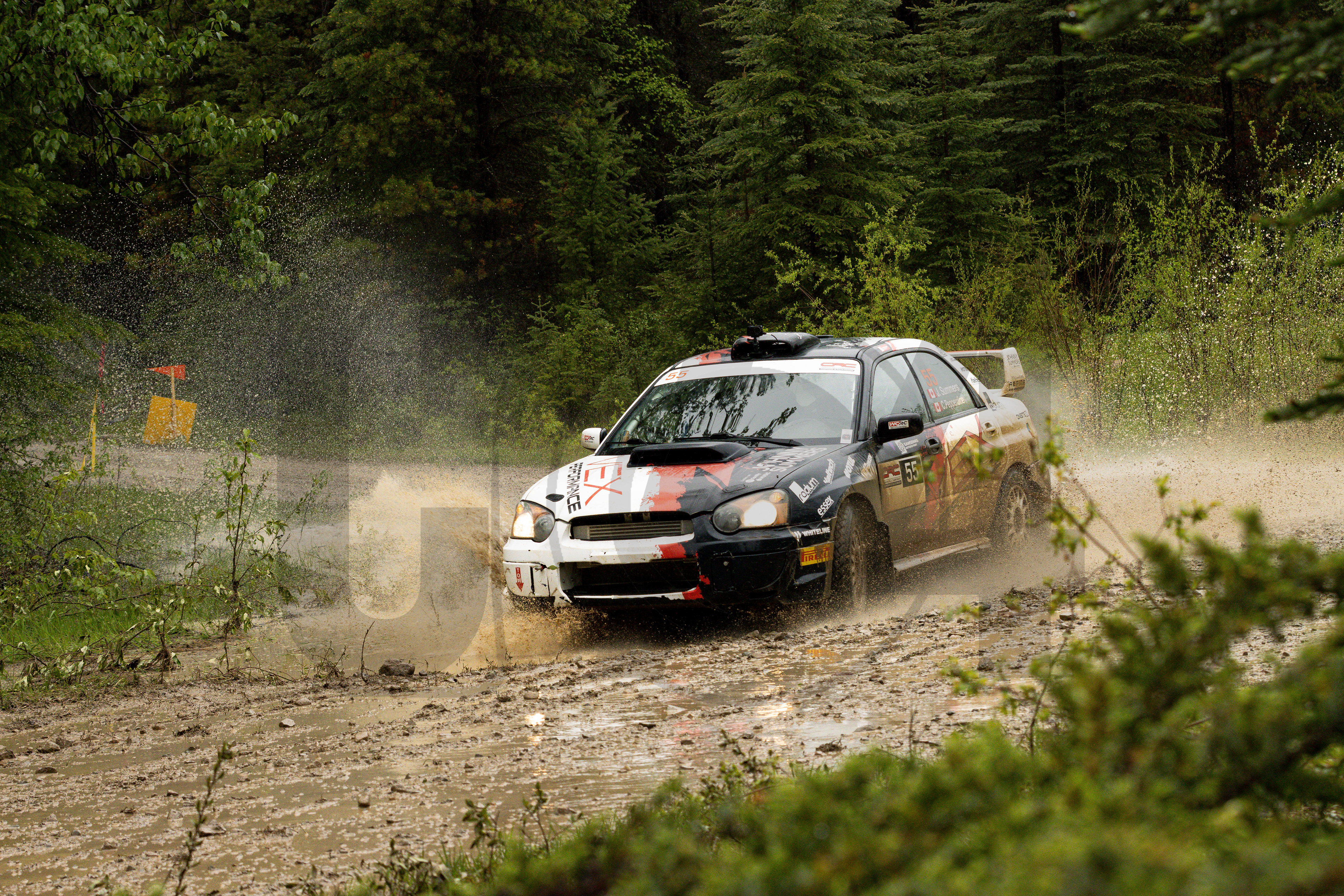 Car #55