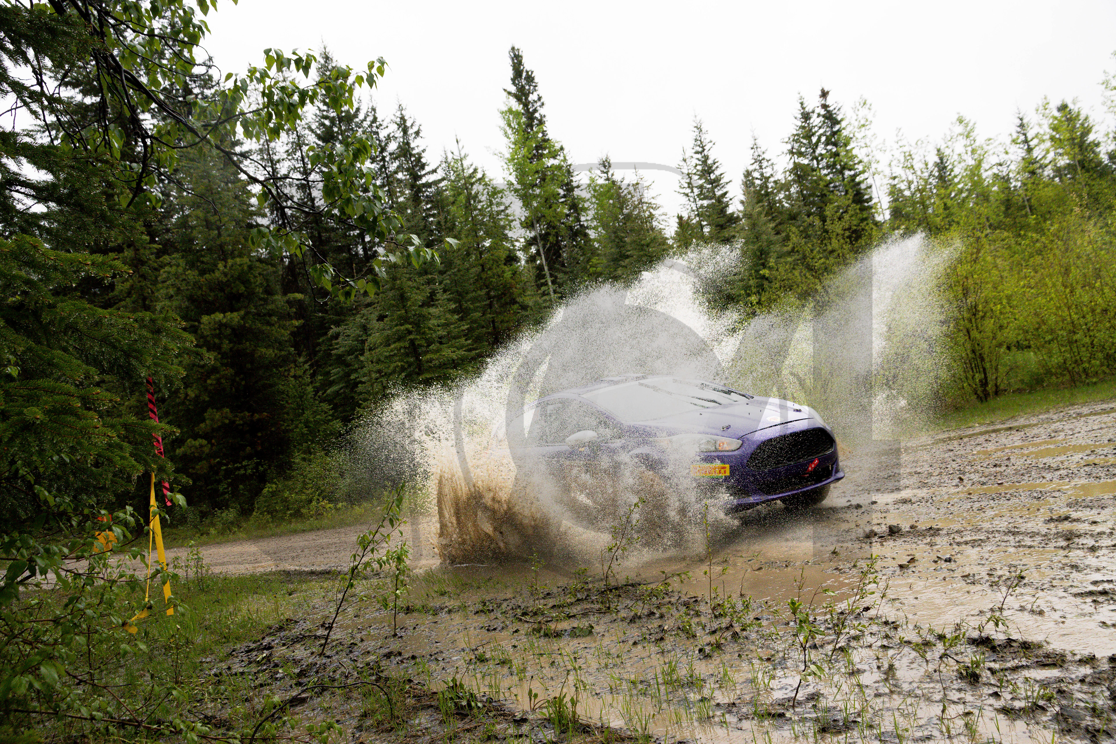 Car #114