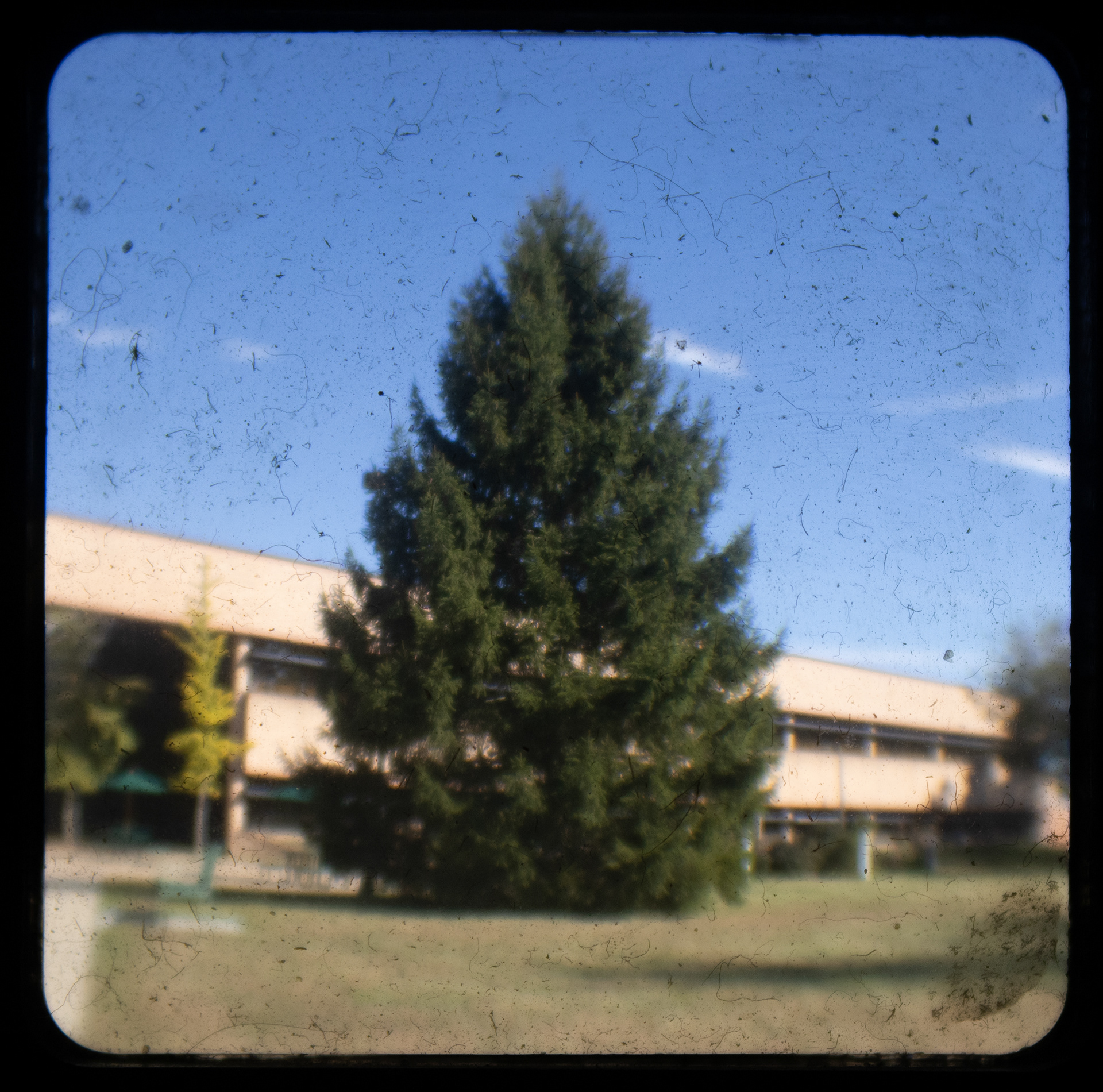 Through the Viewfinder (Ttv)