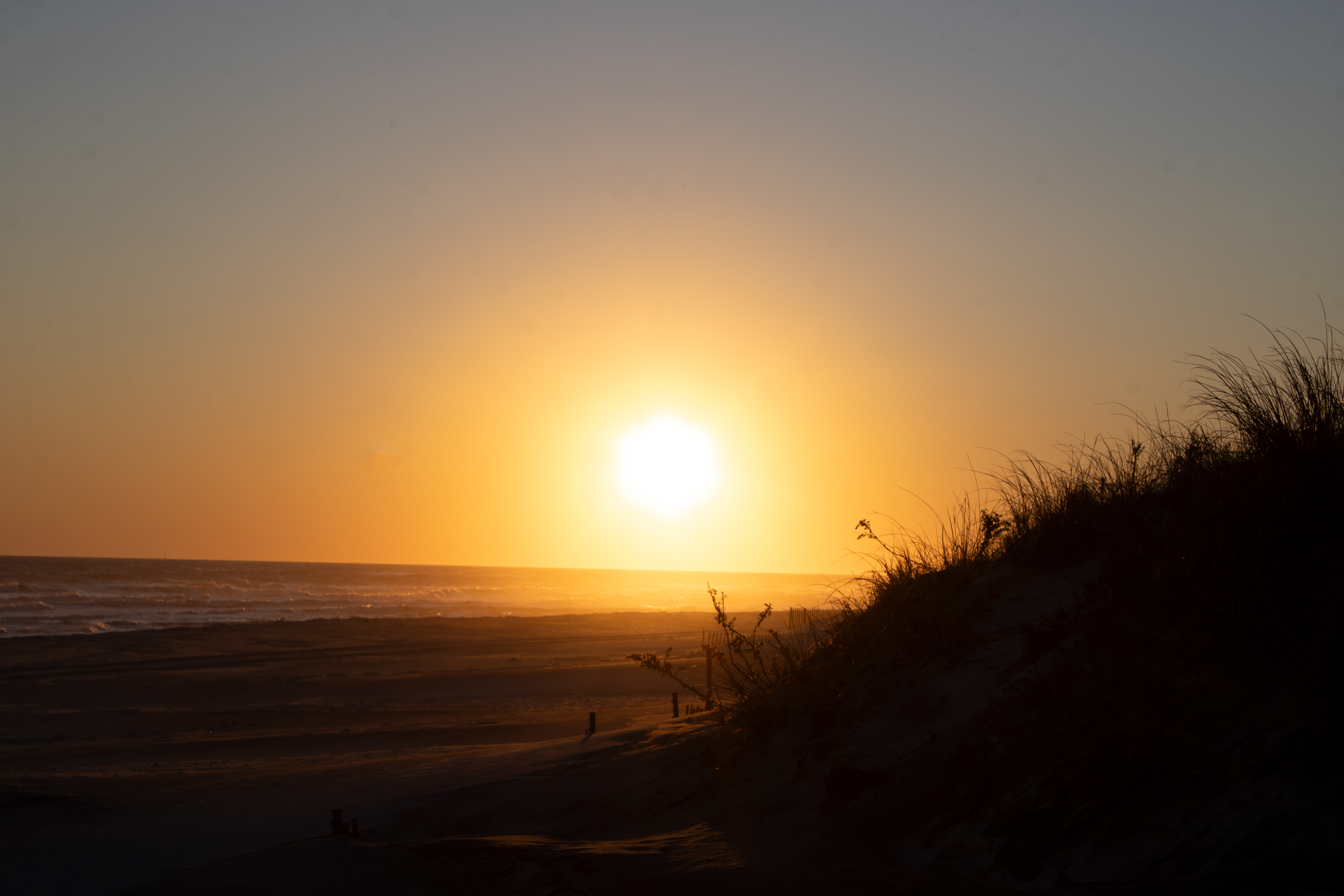 Sunset Silhouette