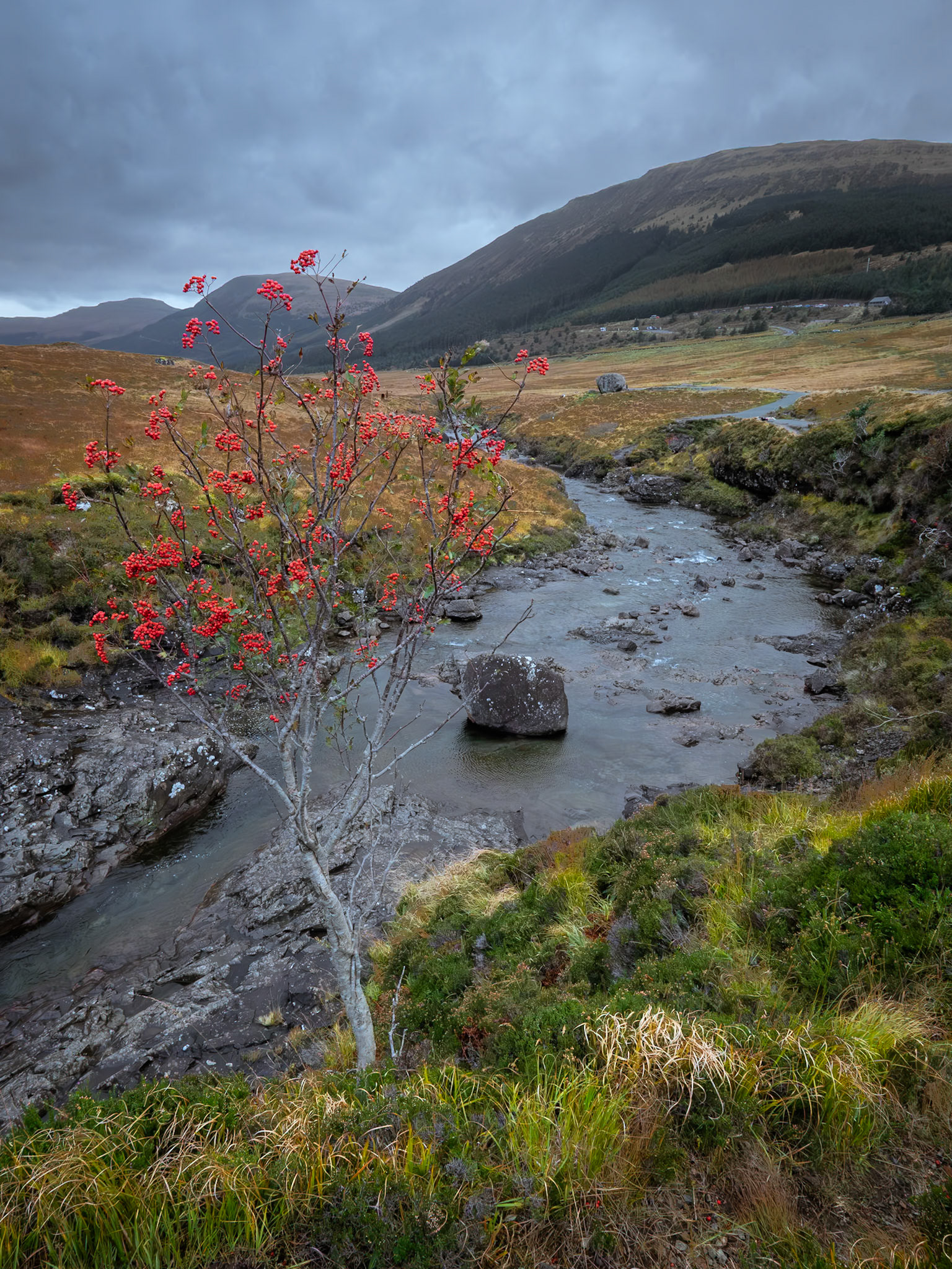 Fairy Pools River Brittle