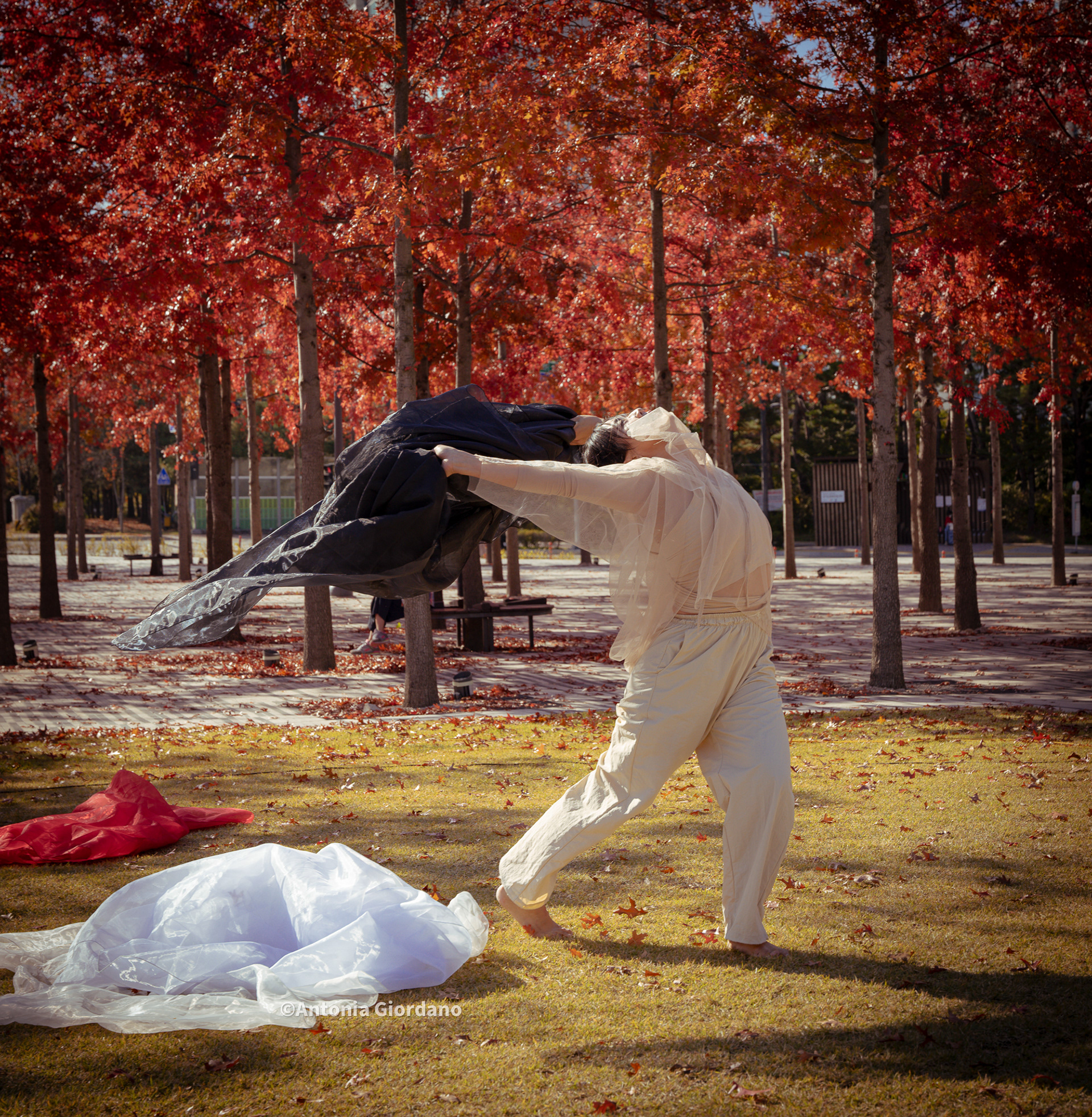 Seoul Traditional Contemporary Dance Performance. 2023
