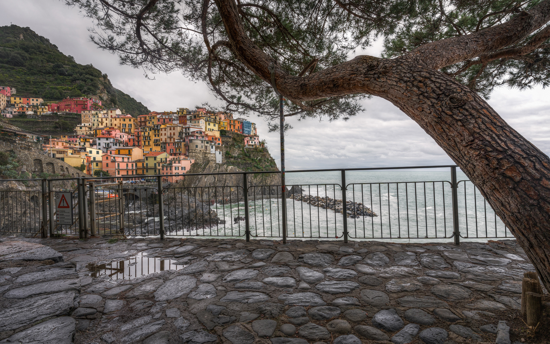 Manarola