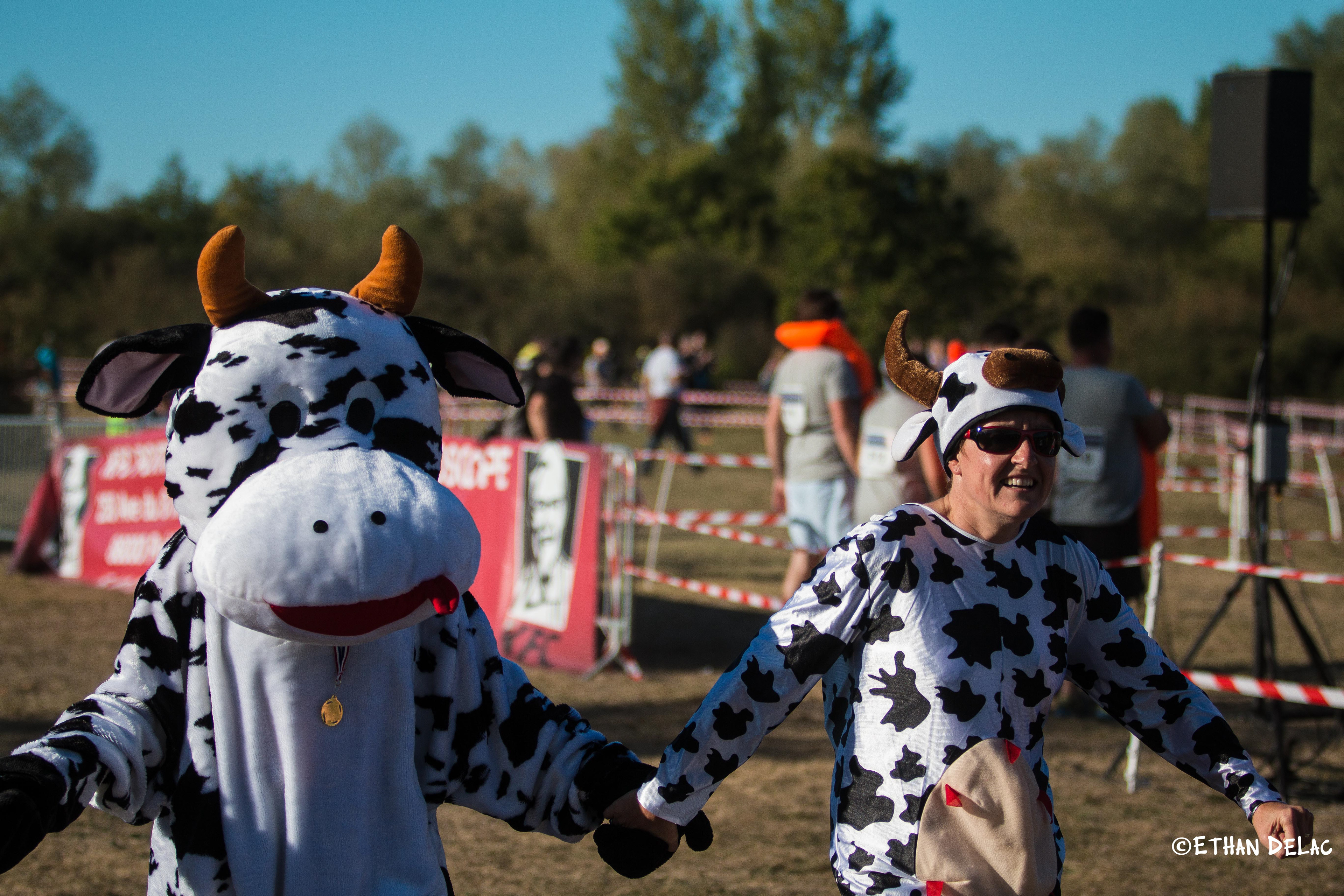 Défi inter-entreprise - 2019