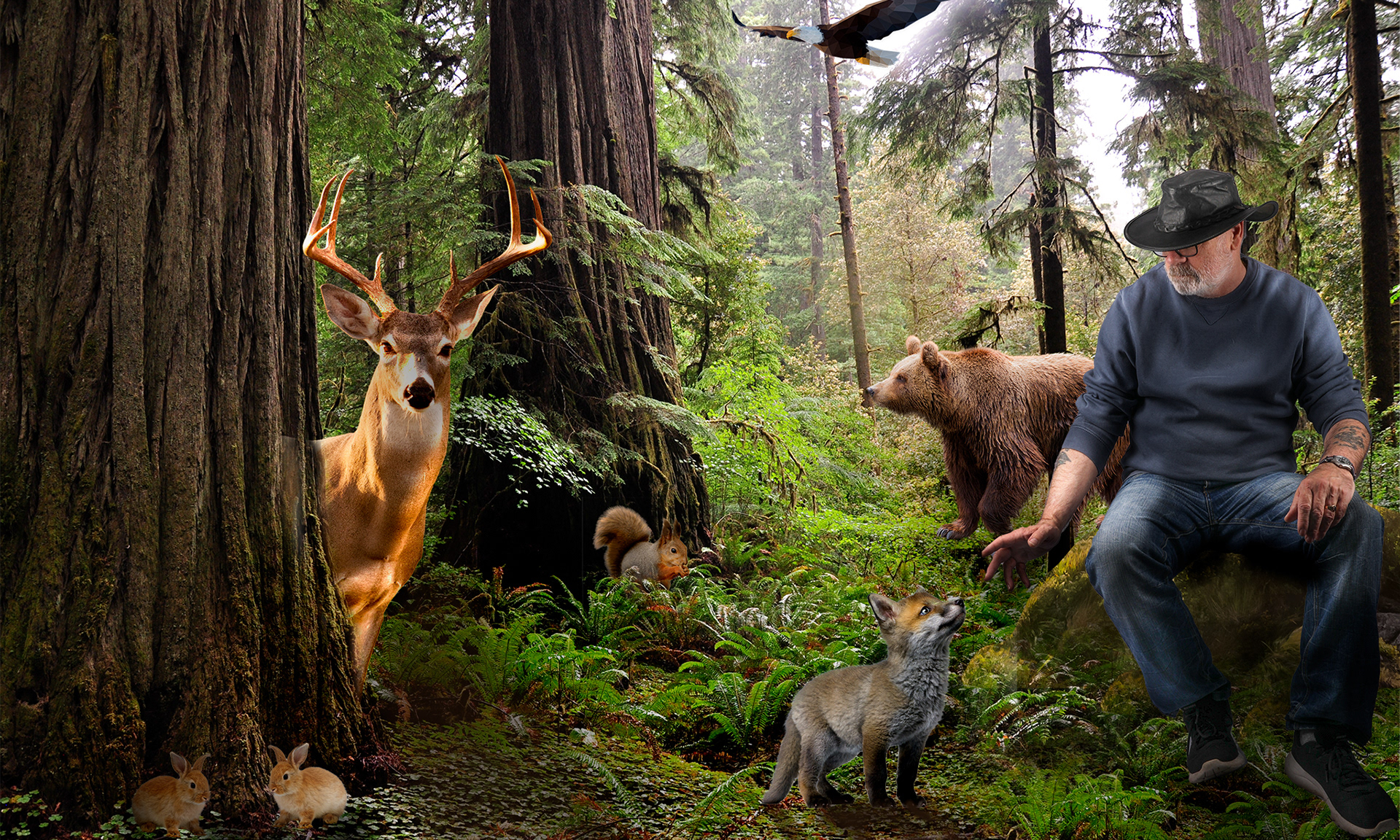 forest sceen with several animals