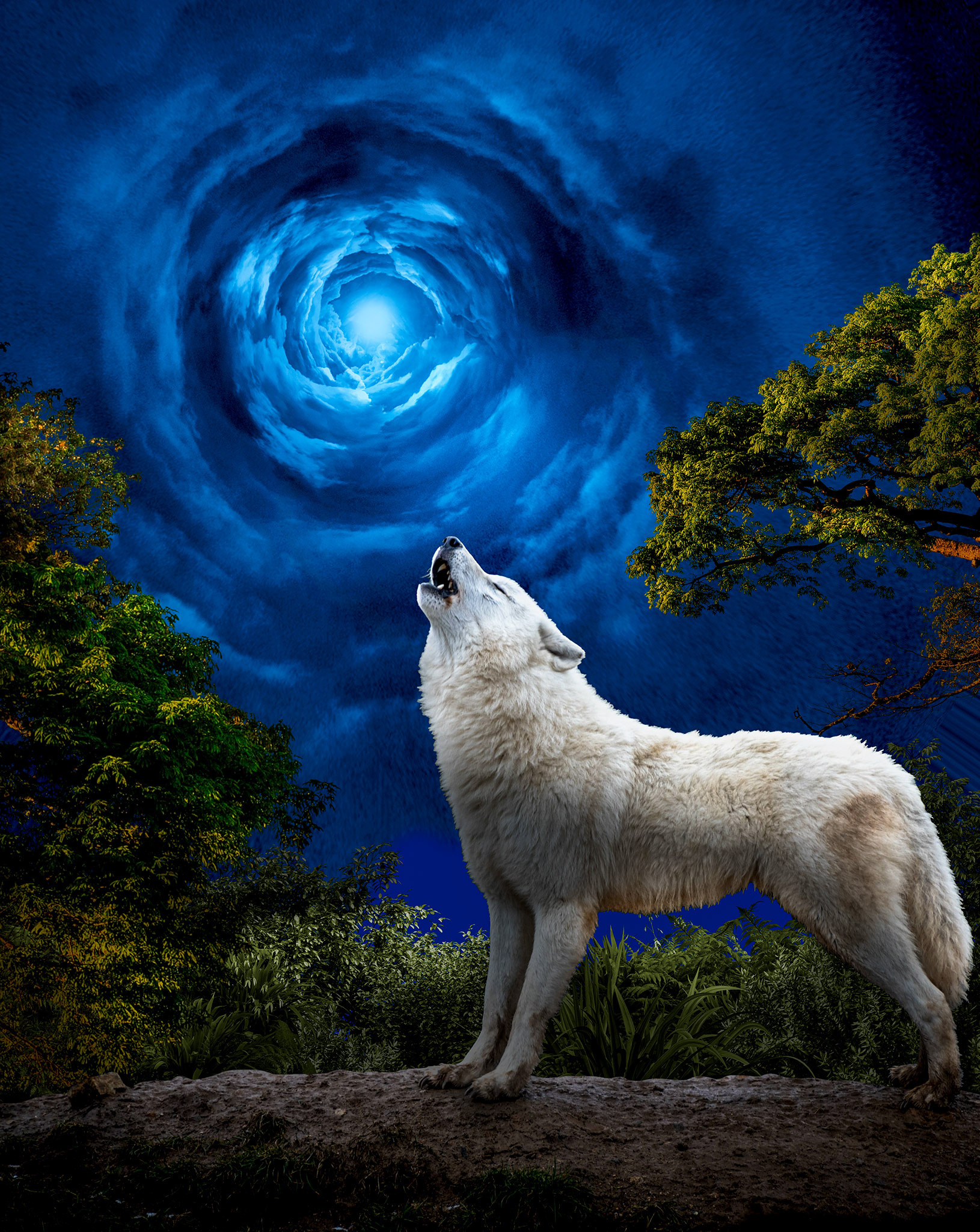 white wolf howling at a  cosmic worn hole