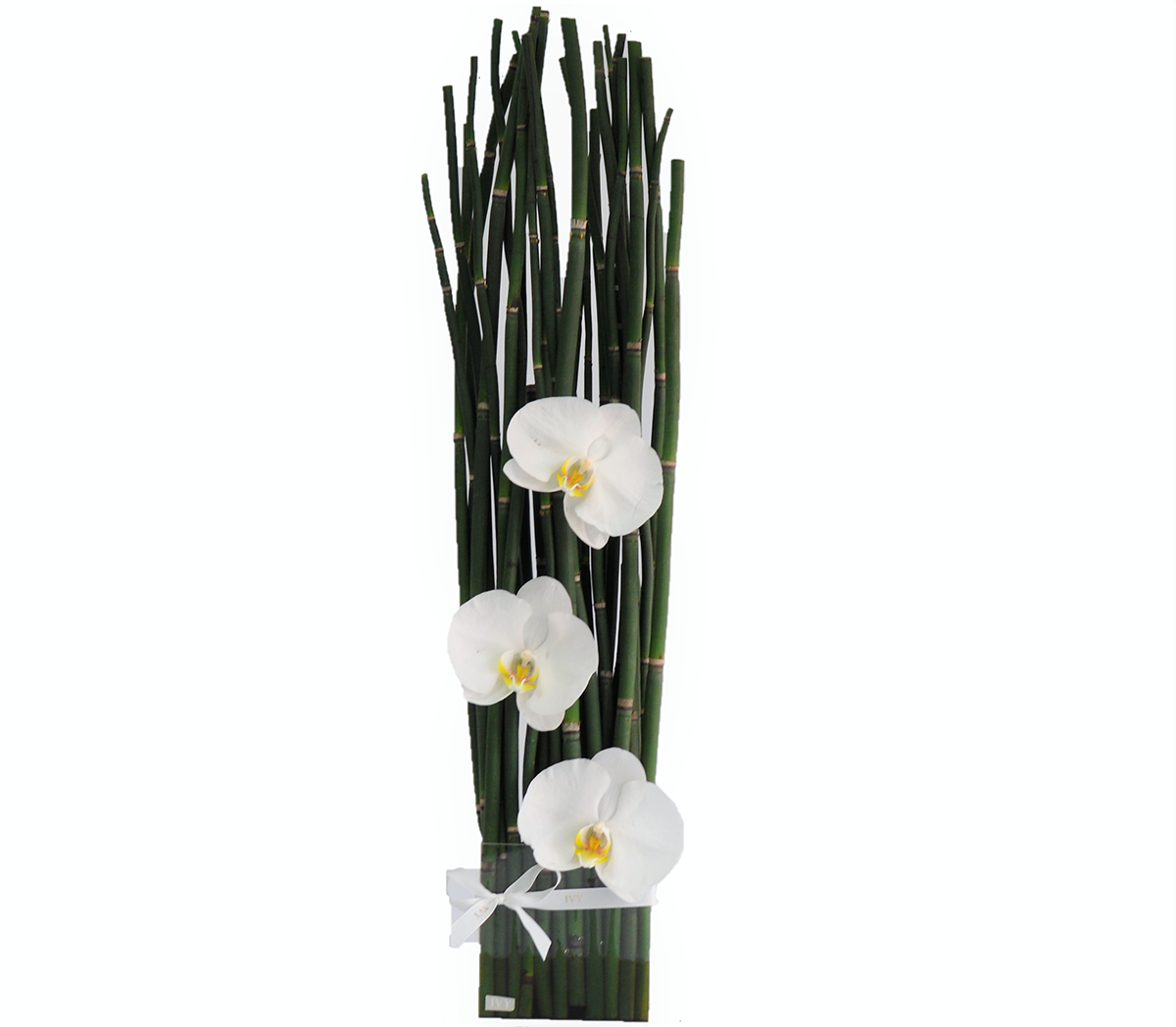 ivy chocolates & flowers Fresh Flower Arrangements