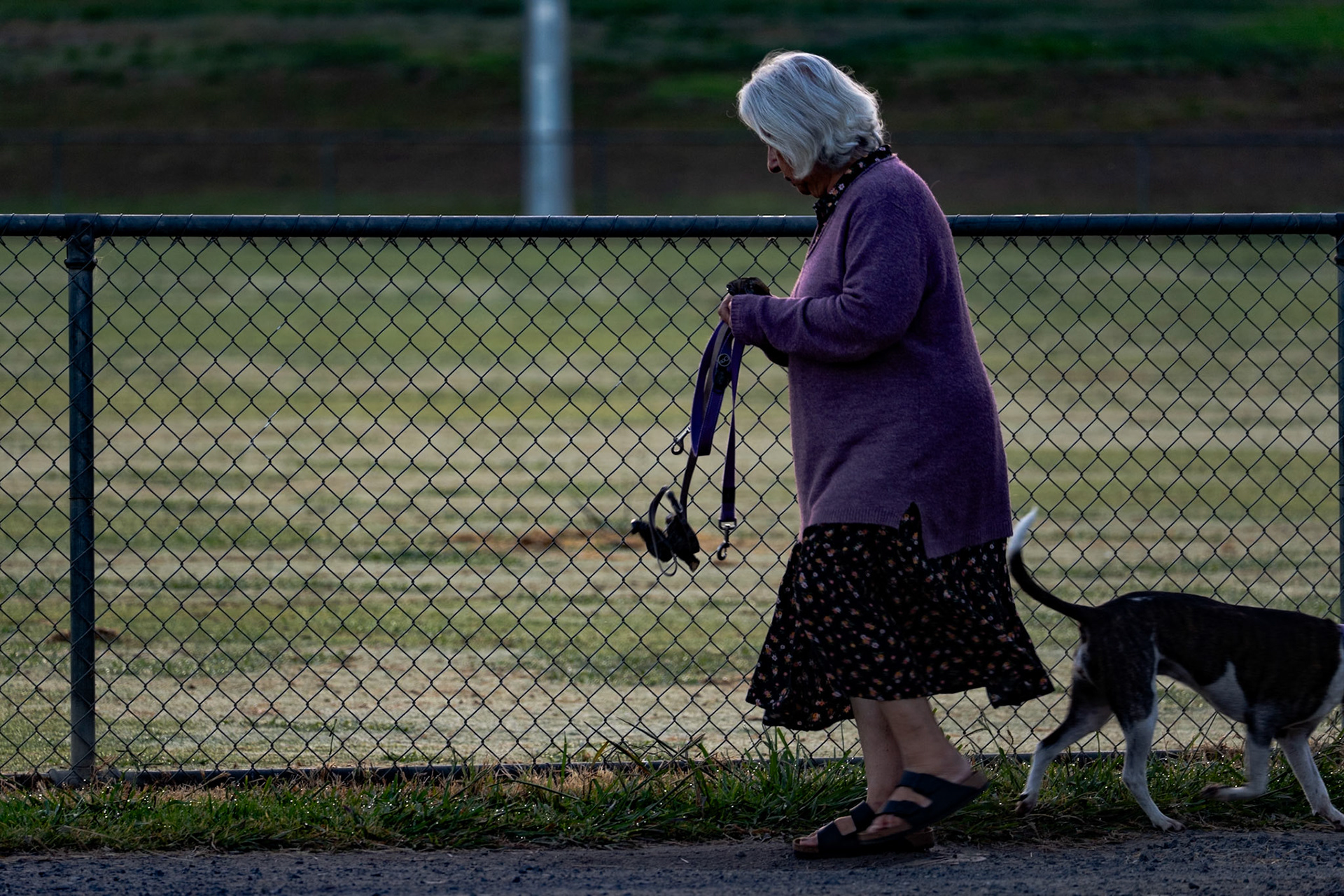 Lady with beagle - Hurstbridge