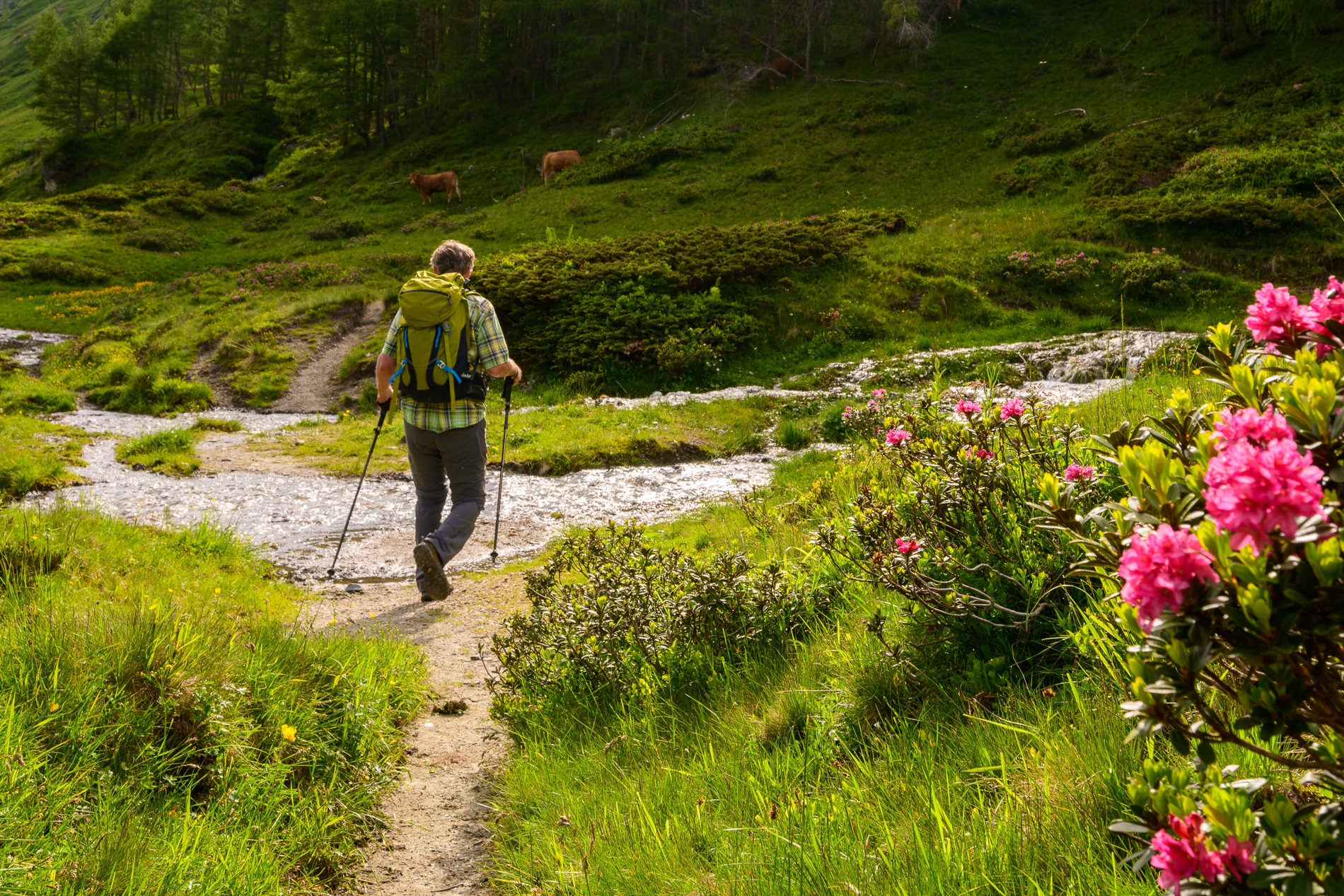 R2_Etappe1_wandern_28