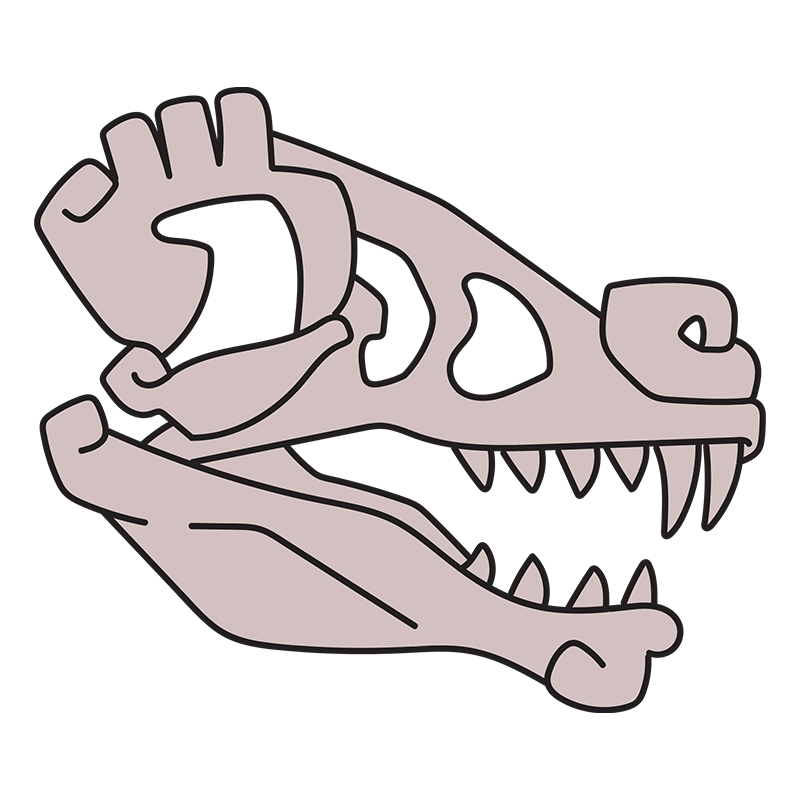 Dinosaur Skull