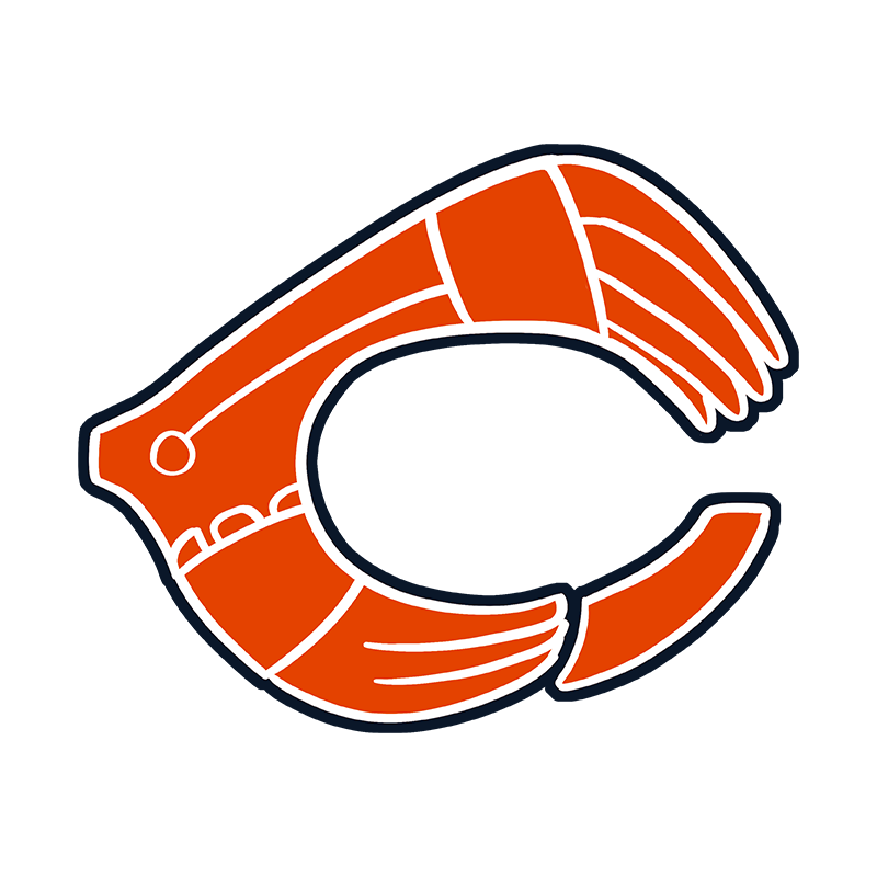 Bears