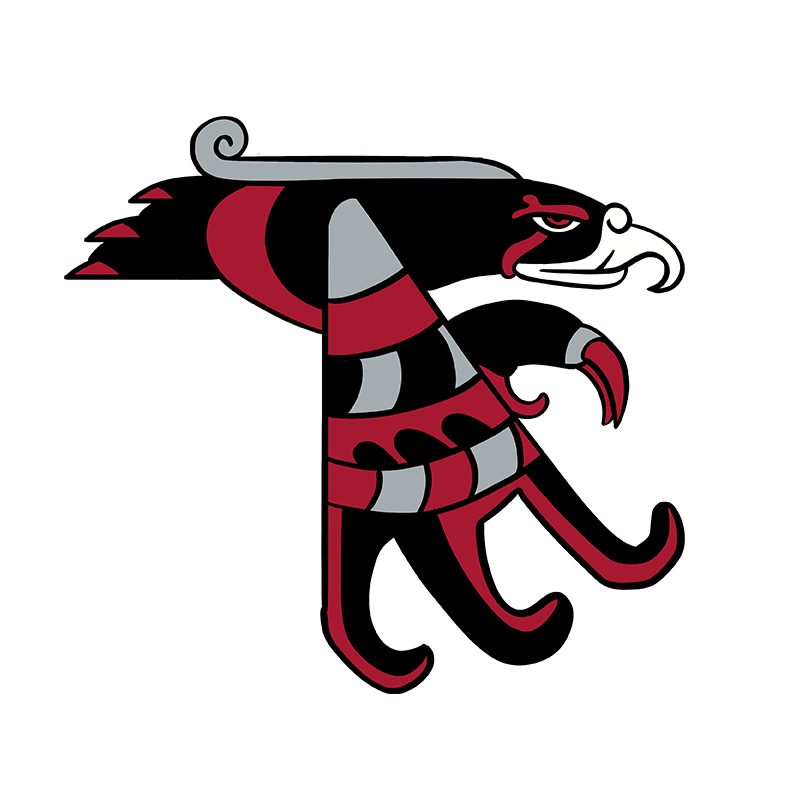 Falcons