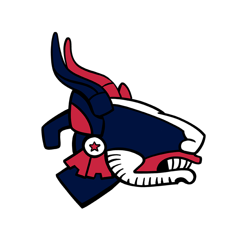 Texans