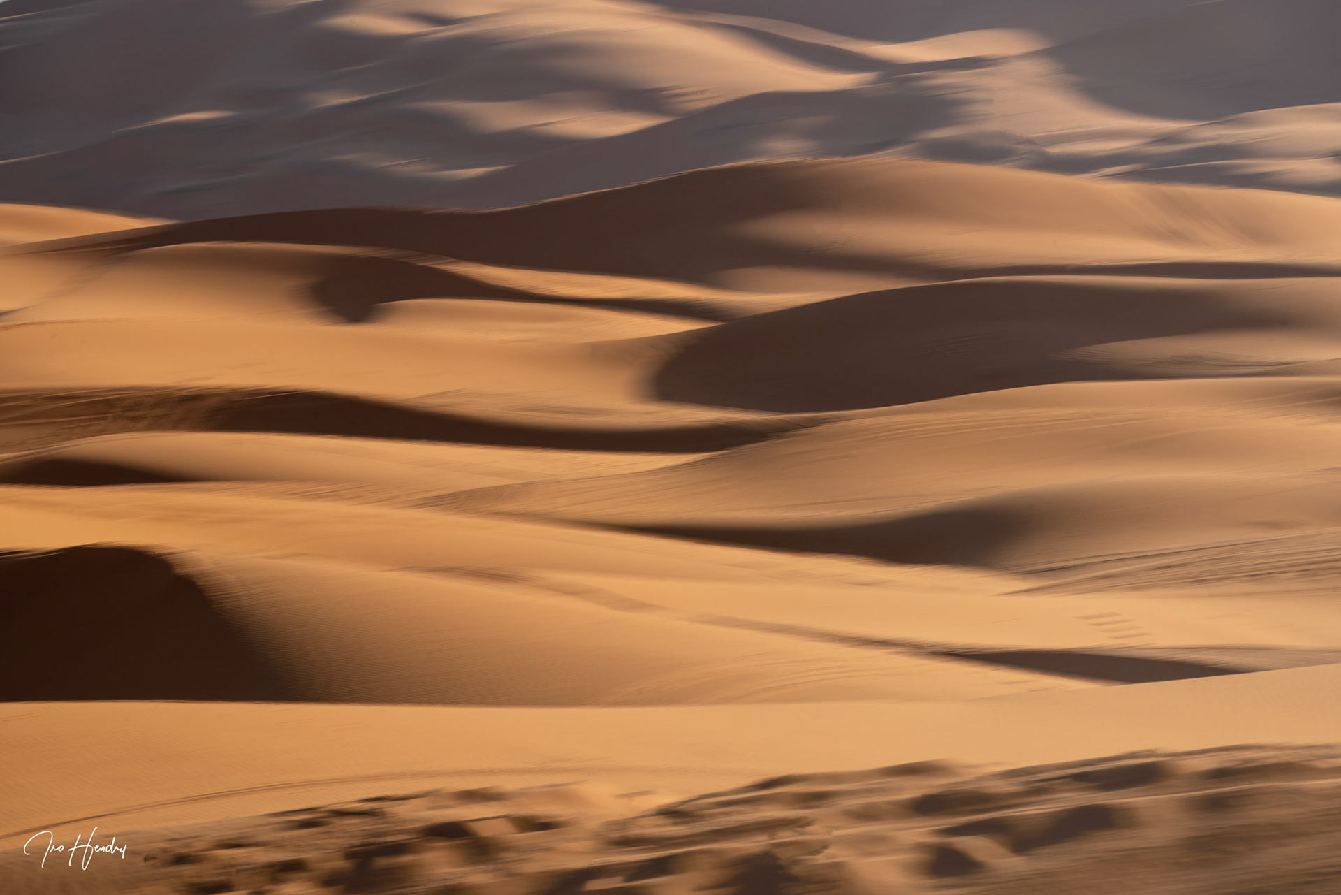 Intentional Camera Movement (ICM)