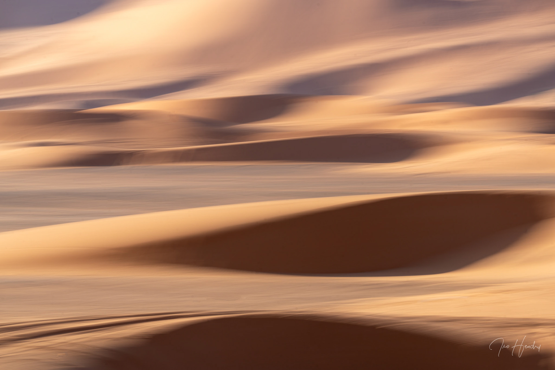 Intentional Camera Movement (ICM)