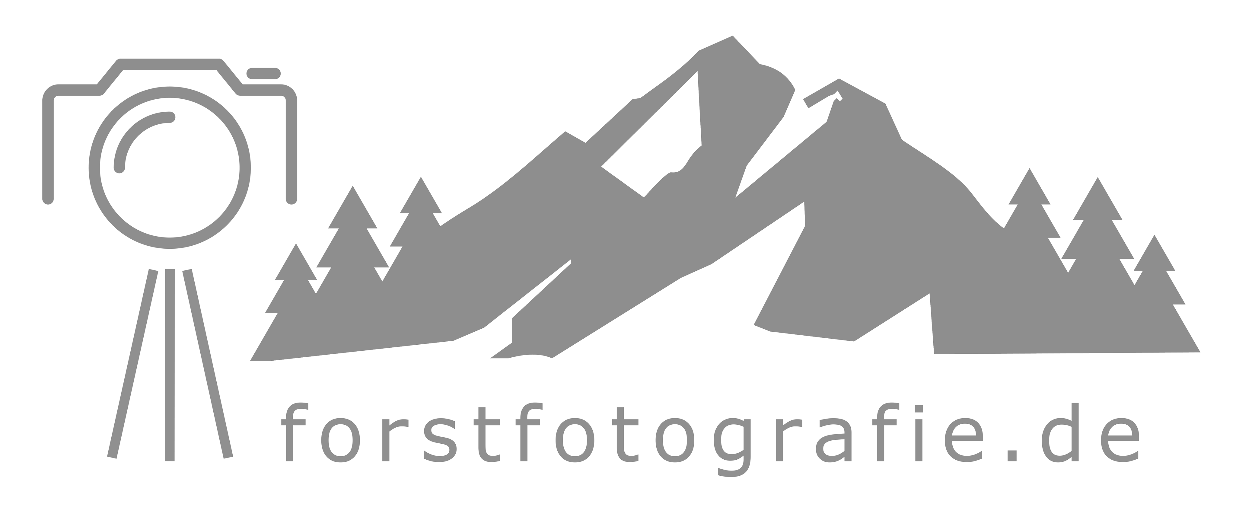 Holger Forst