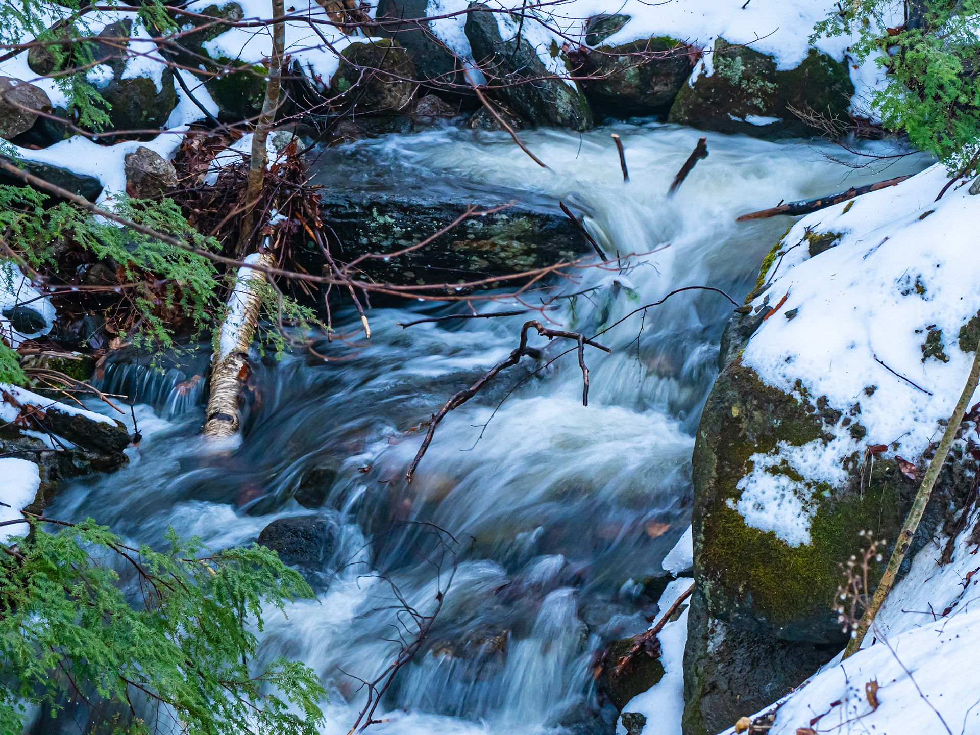 Stream in Goshen, MA
