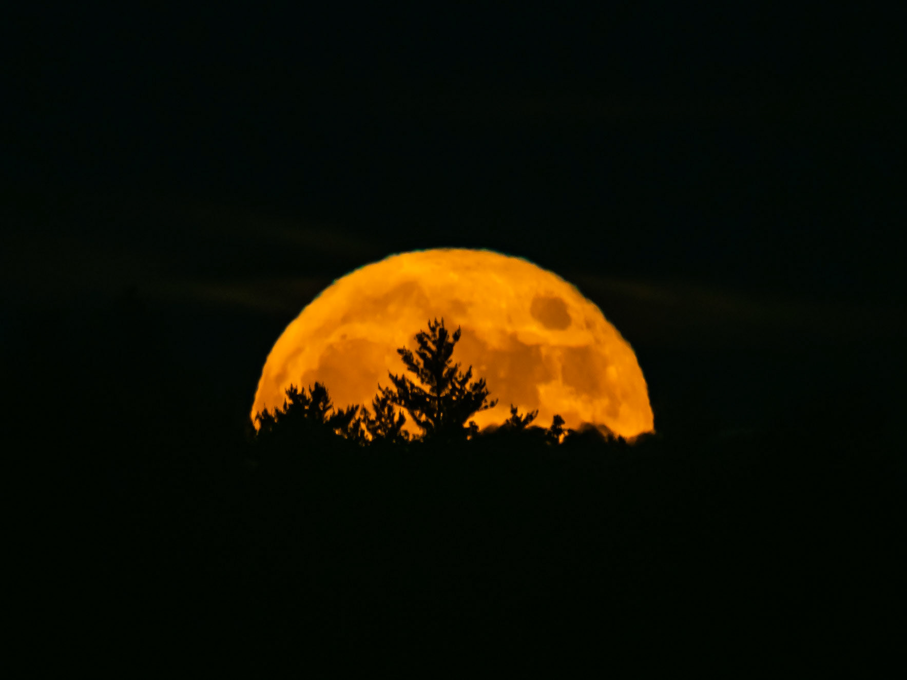 Strawberry Super Moon rising over Goshen, MA