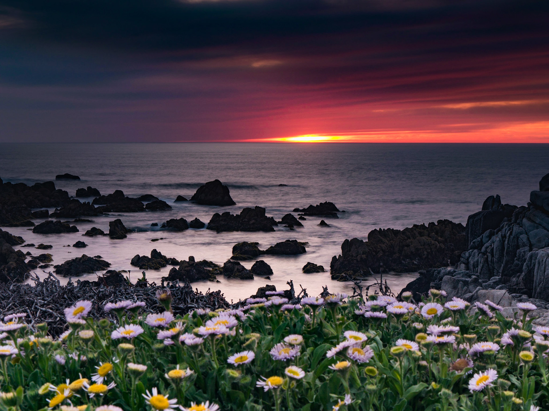 Sunset Monterey, CA