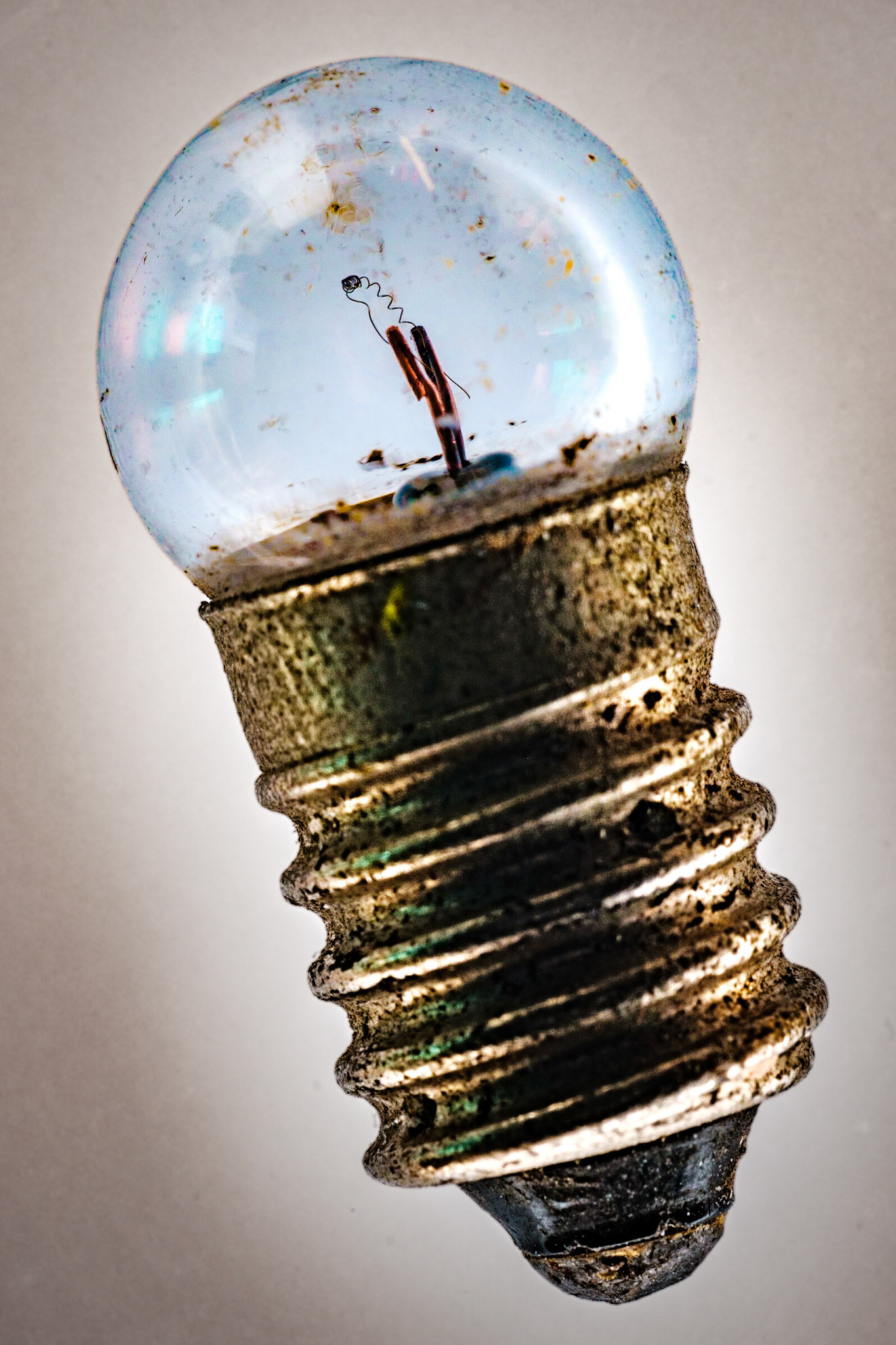Bulb Macro
