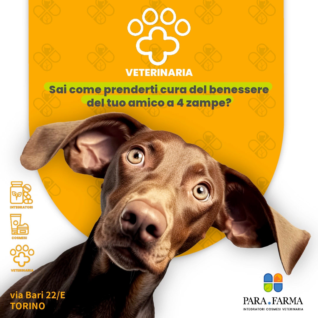 Copertina social VETERINARIA