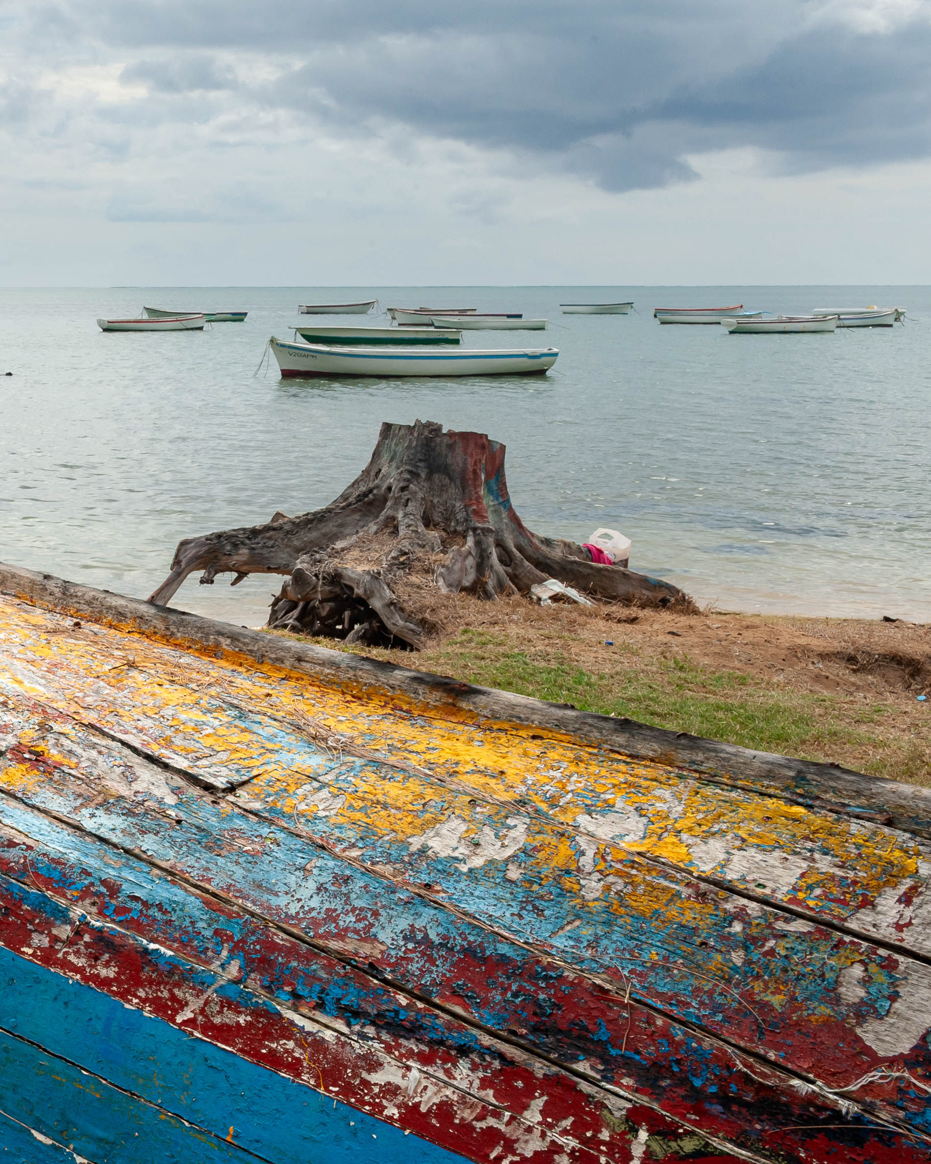 A fleur de peau. Baie du Cap, Mauritius 2011