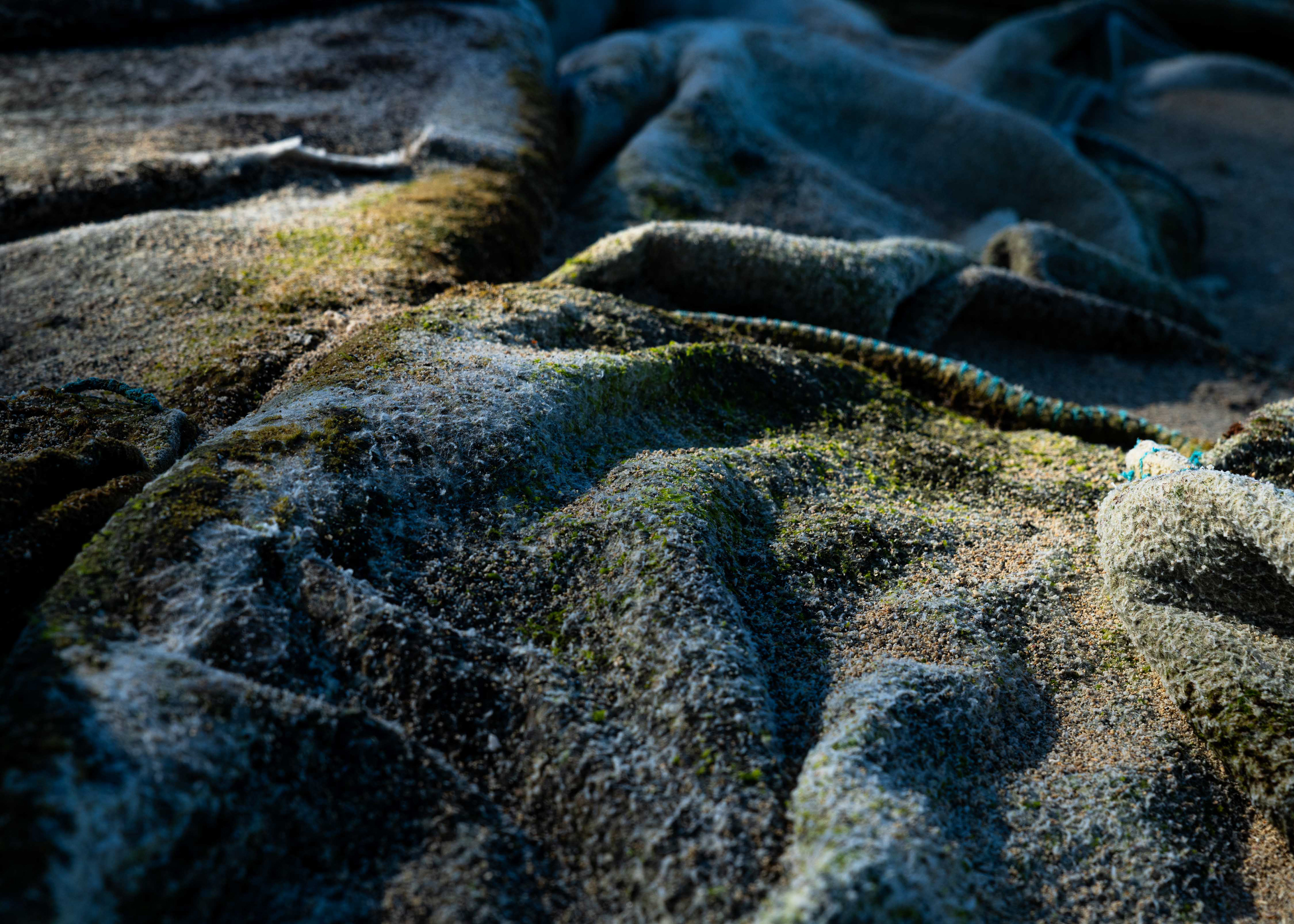 La Preneuse, Mauritius 2025