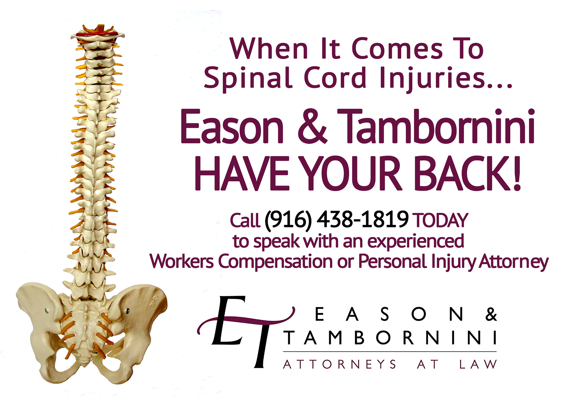 Spinal Cord Injury Graphic