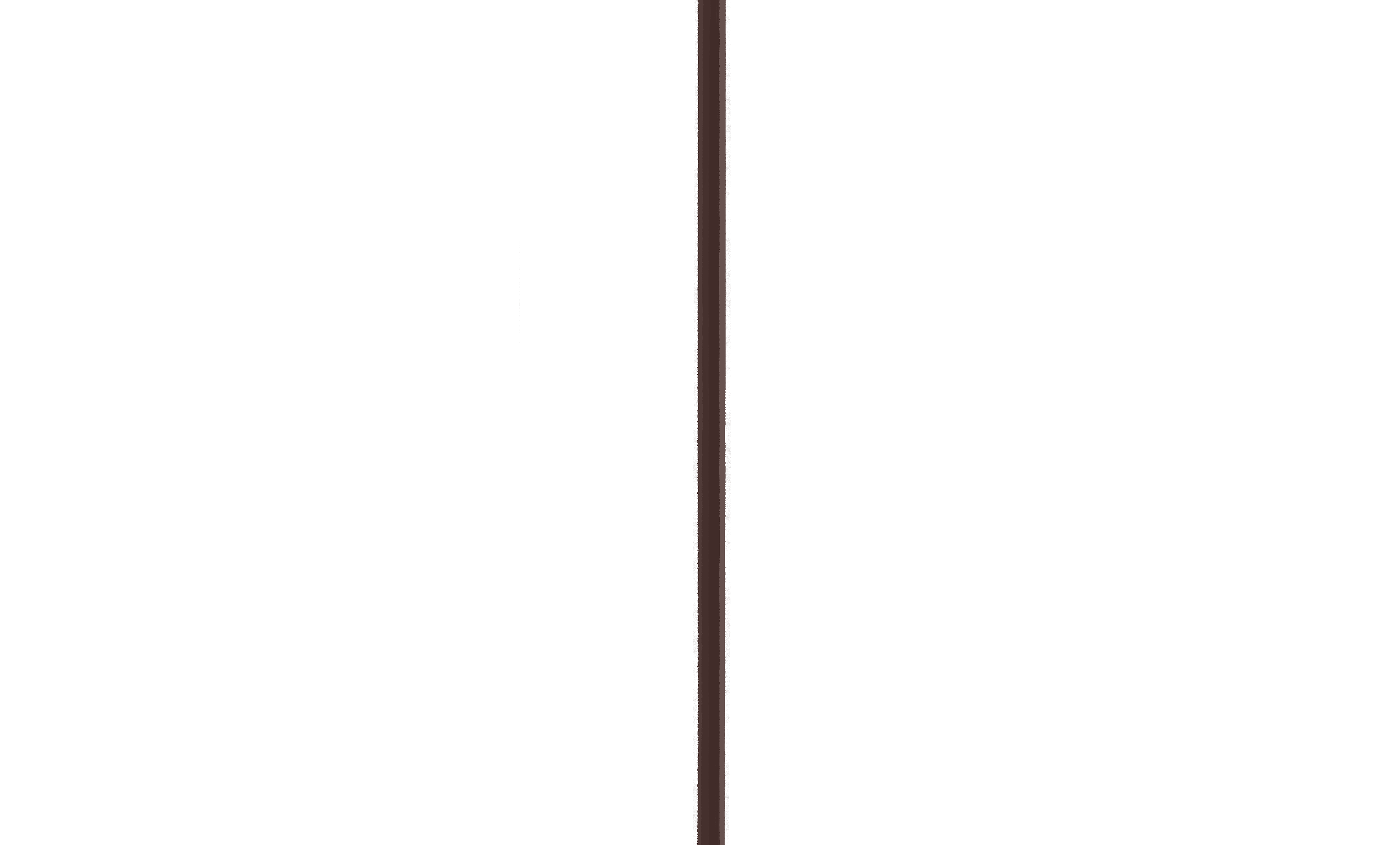 S55C Extreme Foreground Dividing Wall