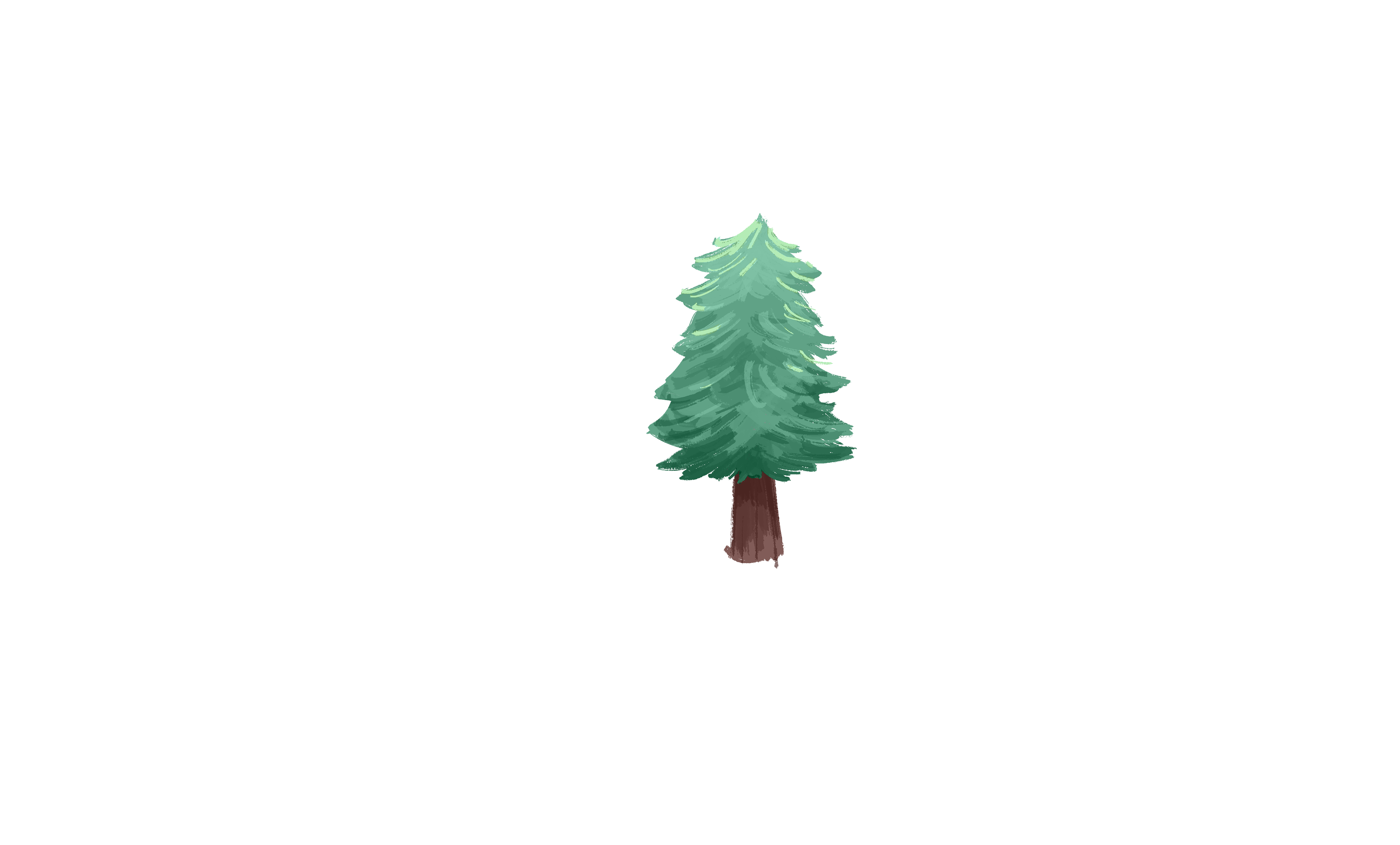 Color Pine Tree
